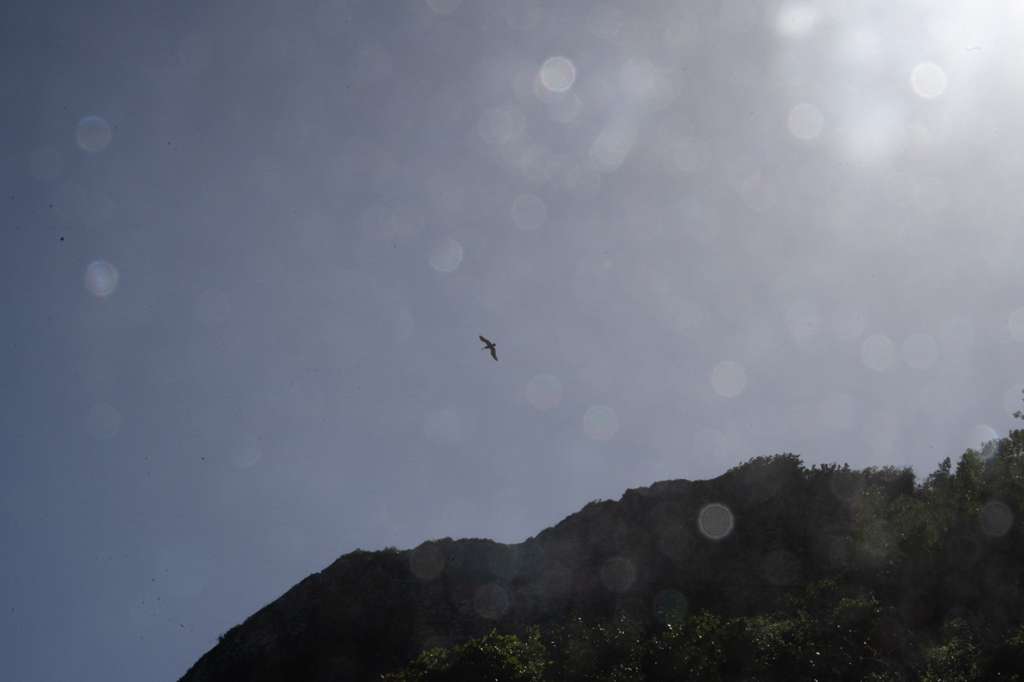 2022-12-26_Survivor_Beach - foto 157