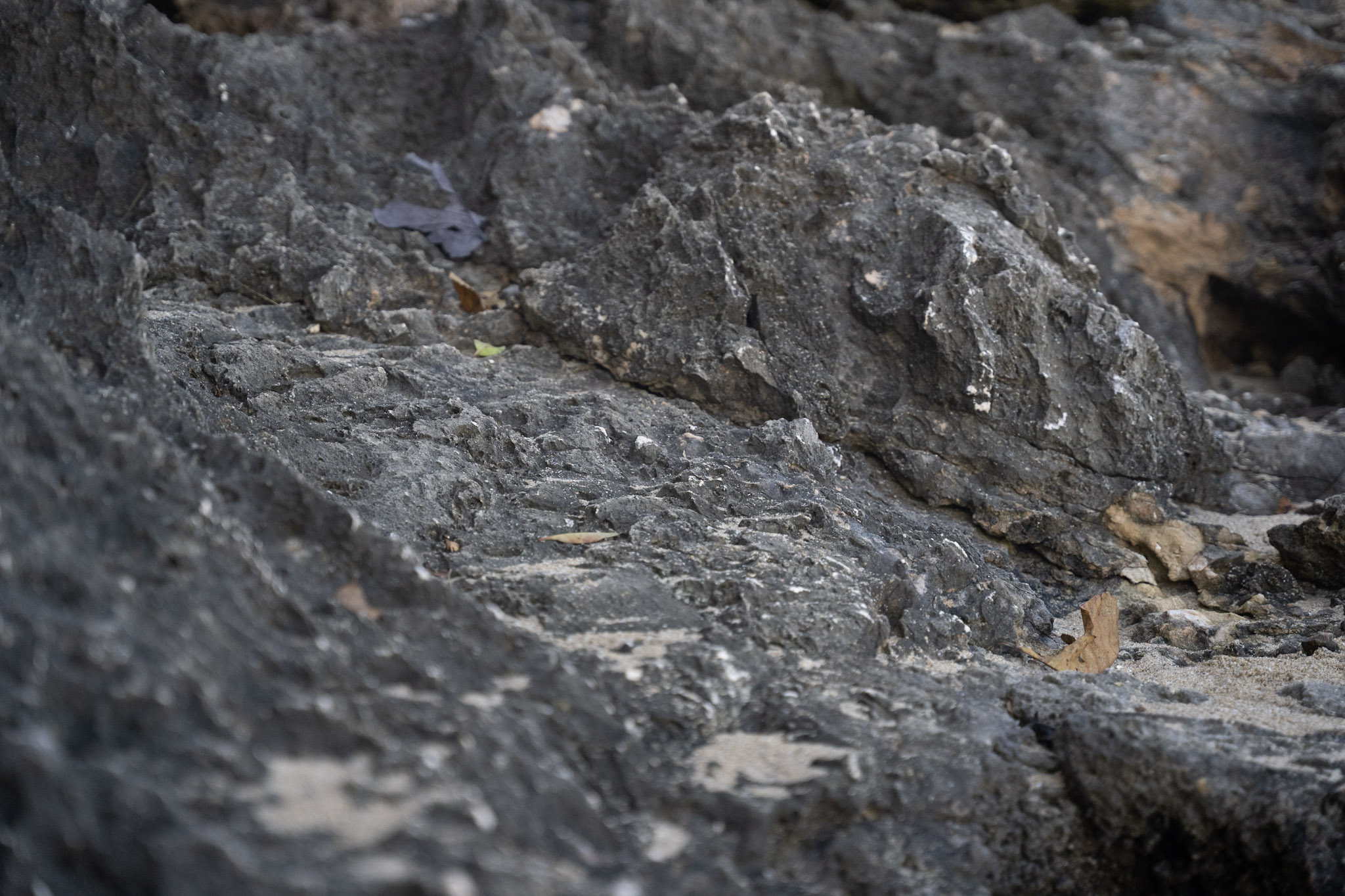 2022-12-26_Survivor_Beach - foto 172