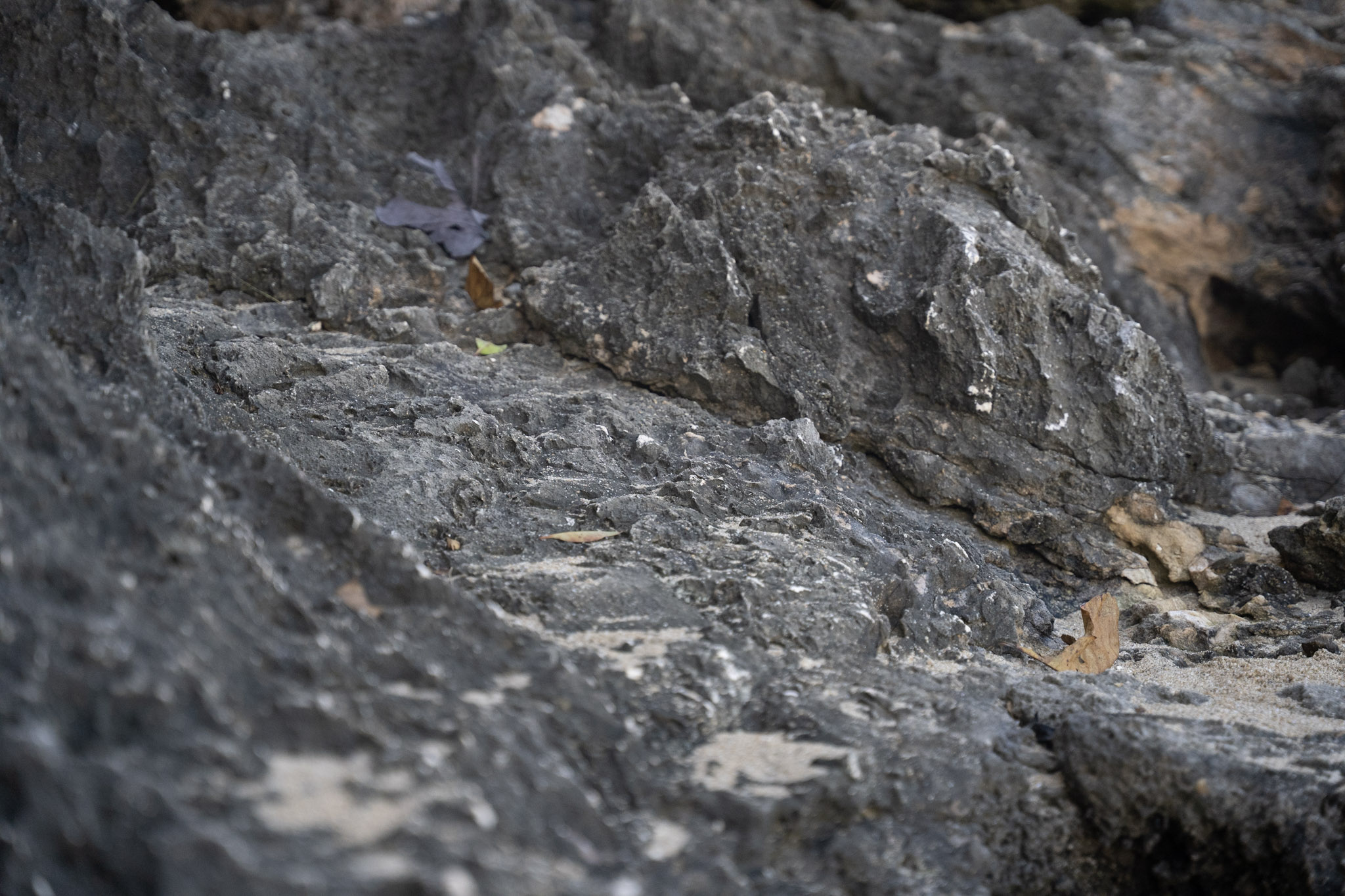 2022-12-26_Survivor_Beach - foto 173