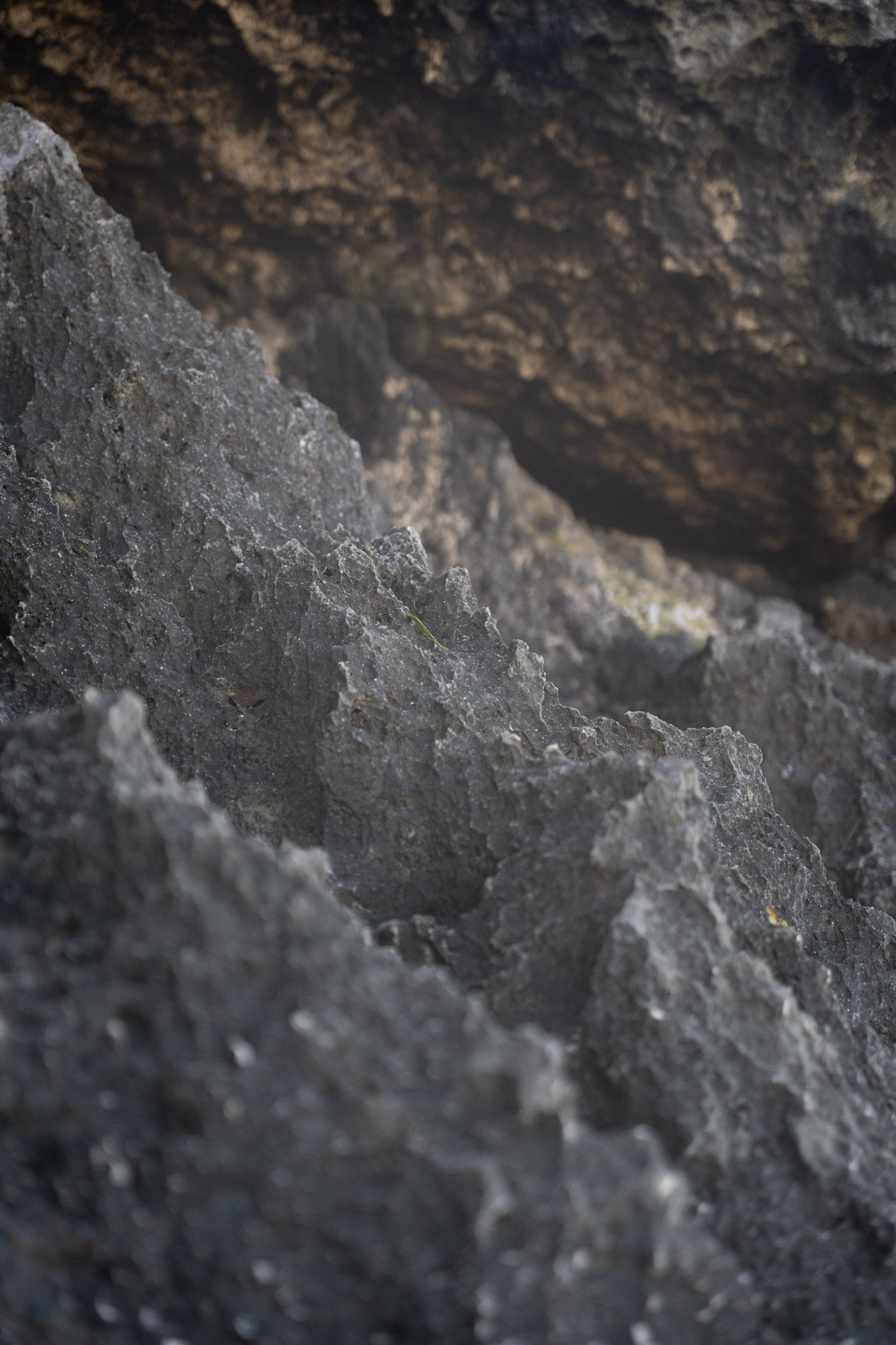 2022-12-26_Survivor_Beach - foto 174