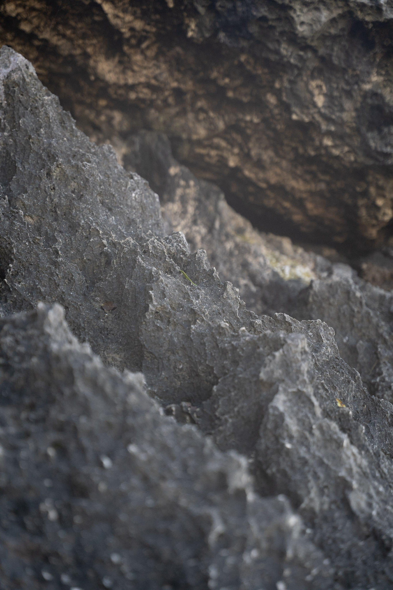 2022-12-26_Survivor_Beach - foto 175