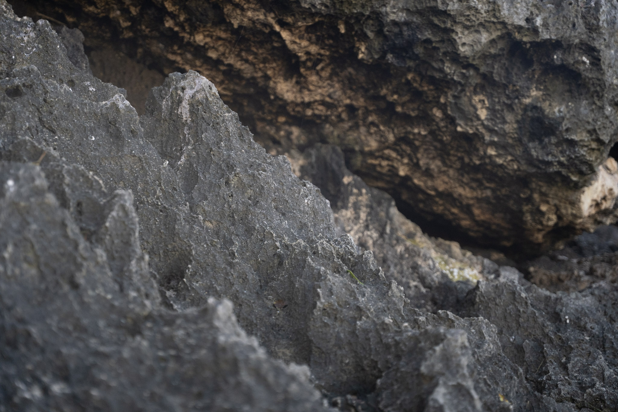 2022-12-26_Survivor_Beach - foto 176