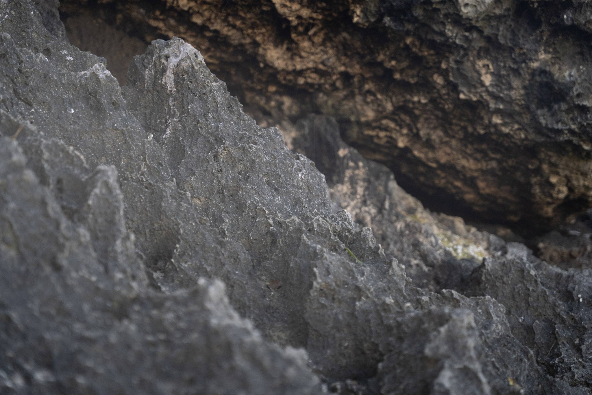 2022-12-26_Survivor_Beach - foto 177