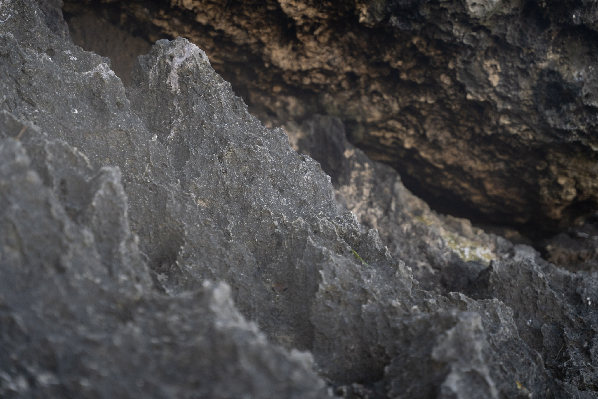 2022-12-26_Survivor_Beach - foto 178