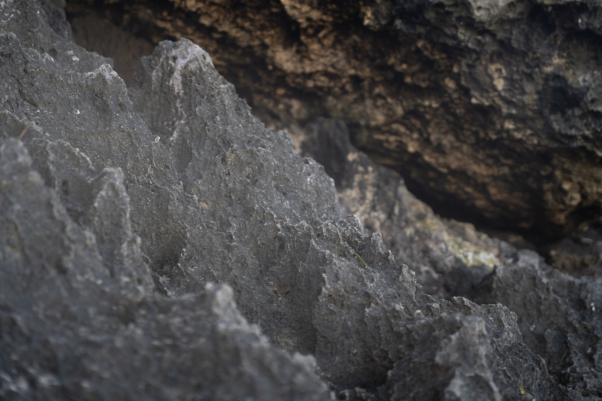 2022-12-26_Survivor_Beach - foto 179