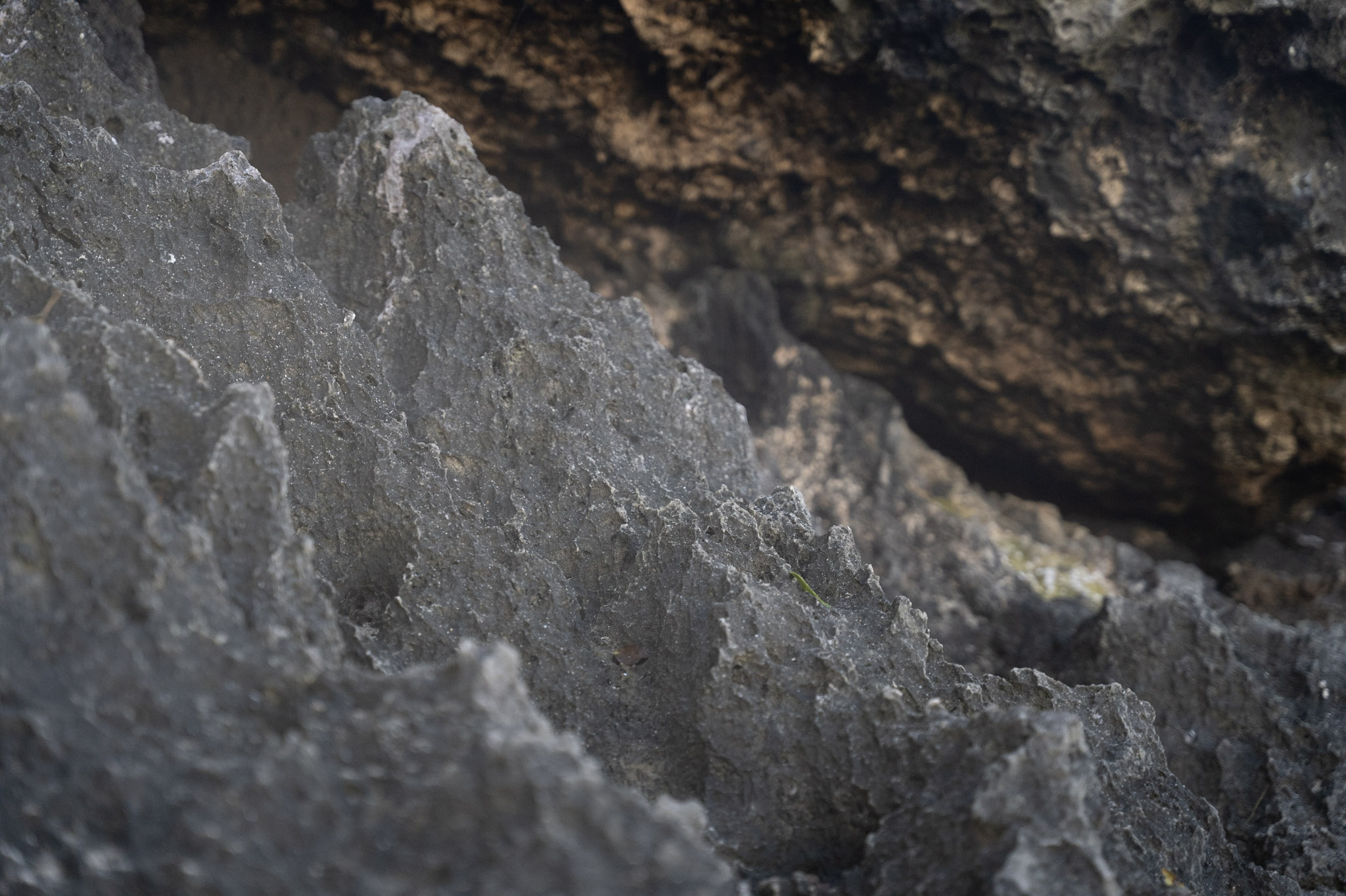 2022-12-26_Survivor_Beach - foto 180