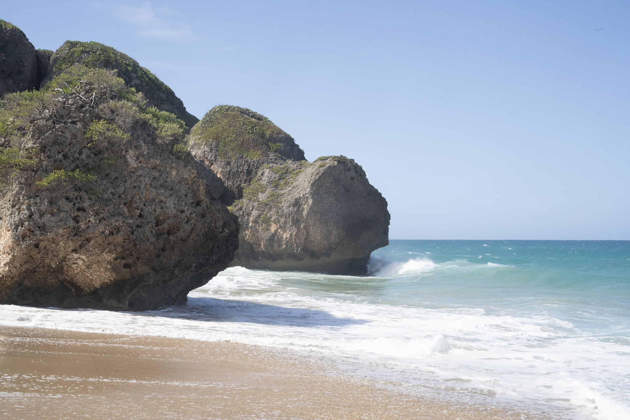 2022-12-26_Survivor_Beach - foto 195