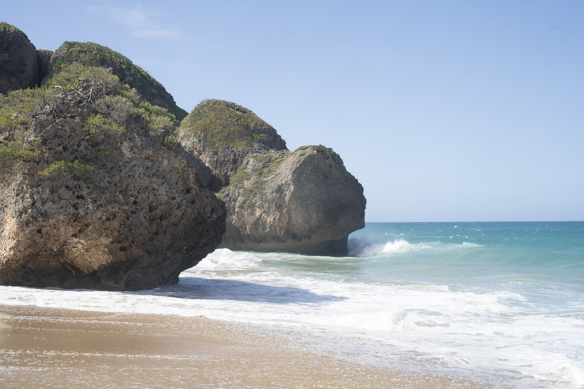 2022-12-26_Survivor_Beach - foto 196