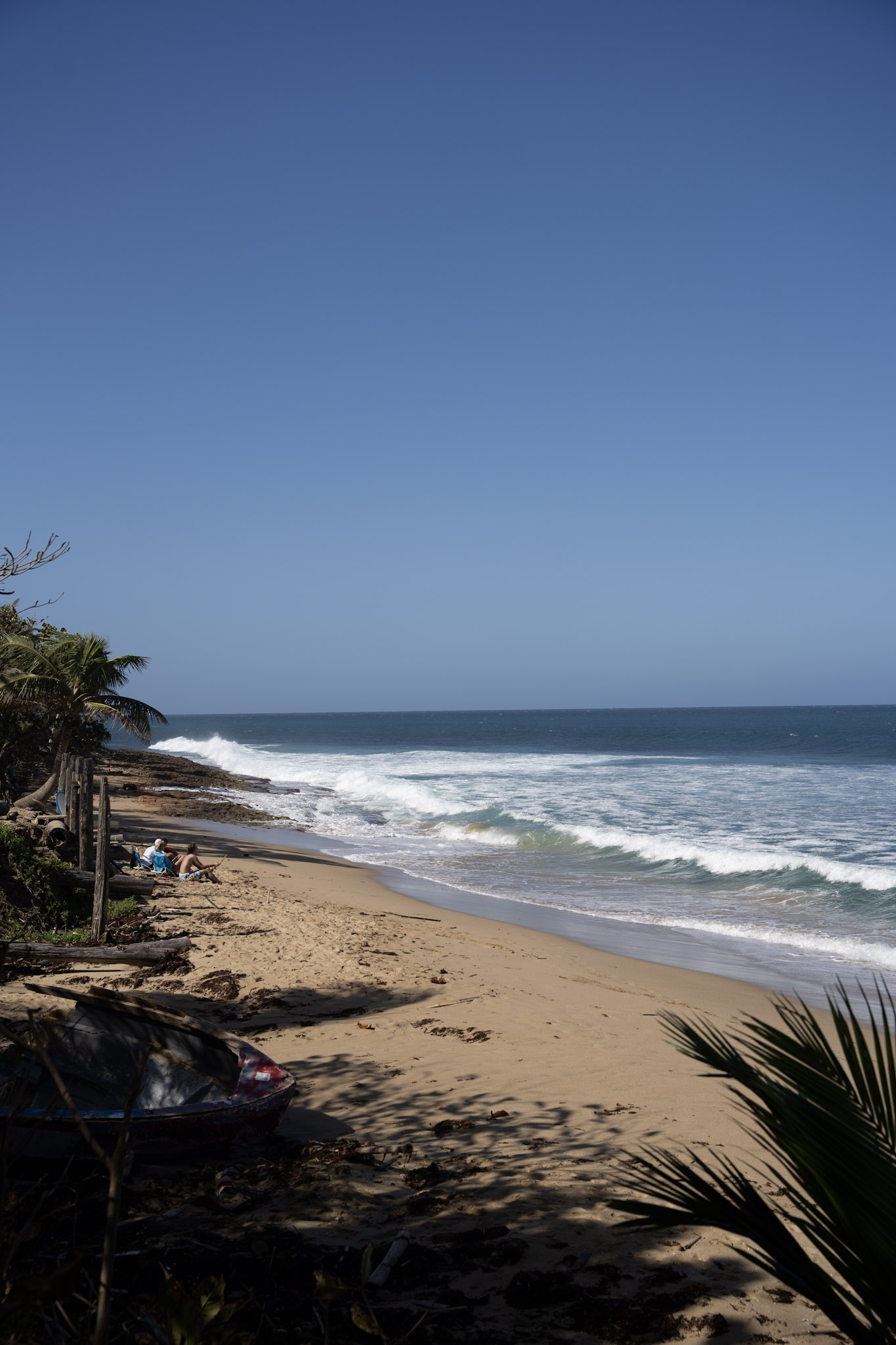 Survivor Beach