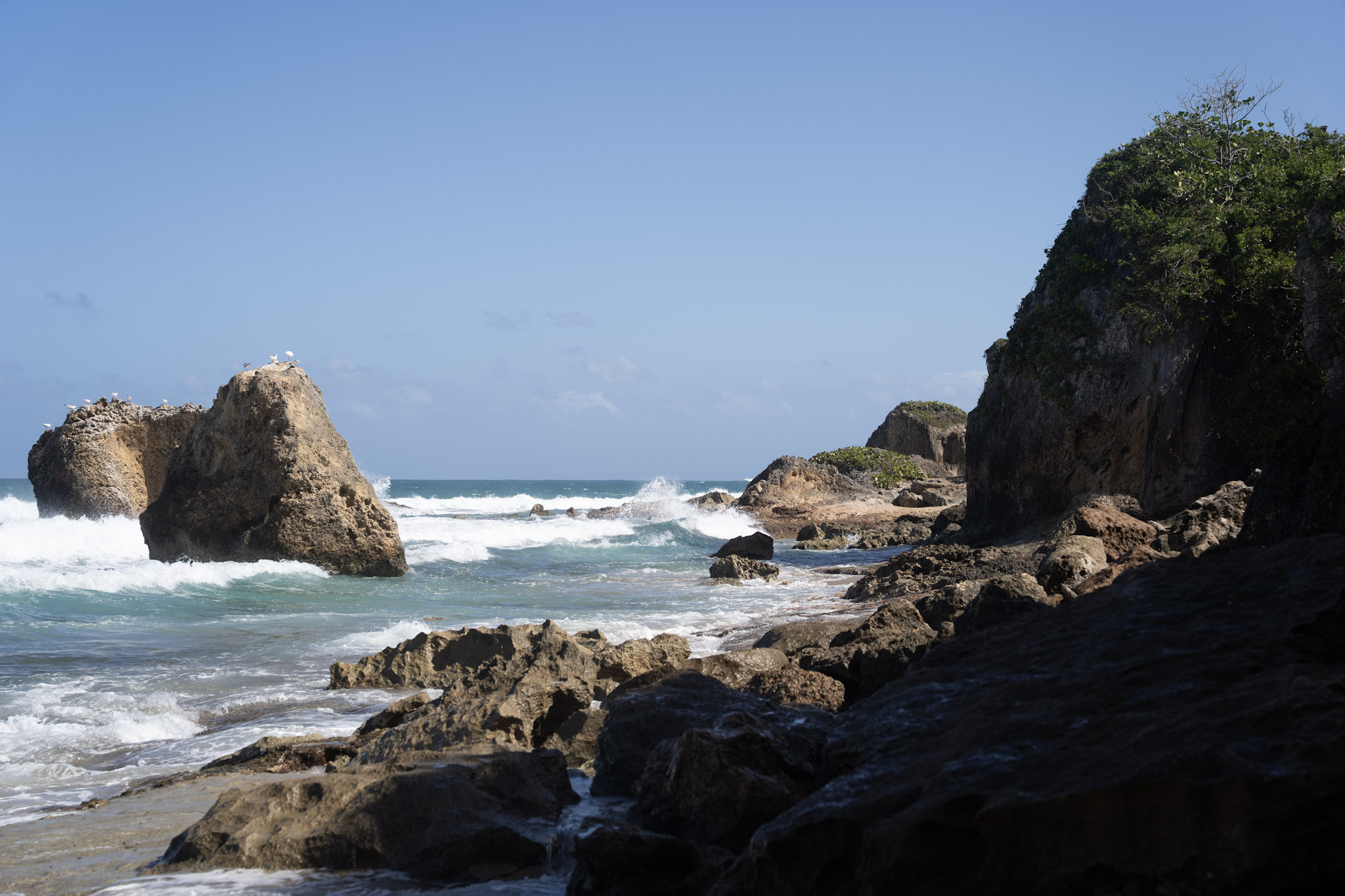 Survivor Beach - foto 7