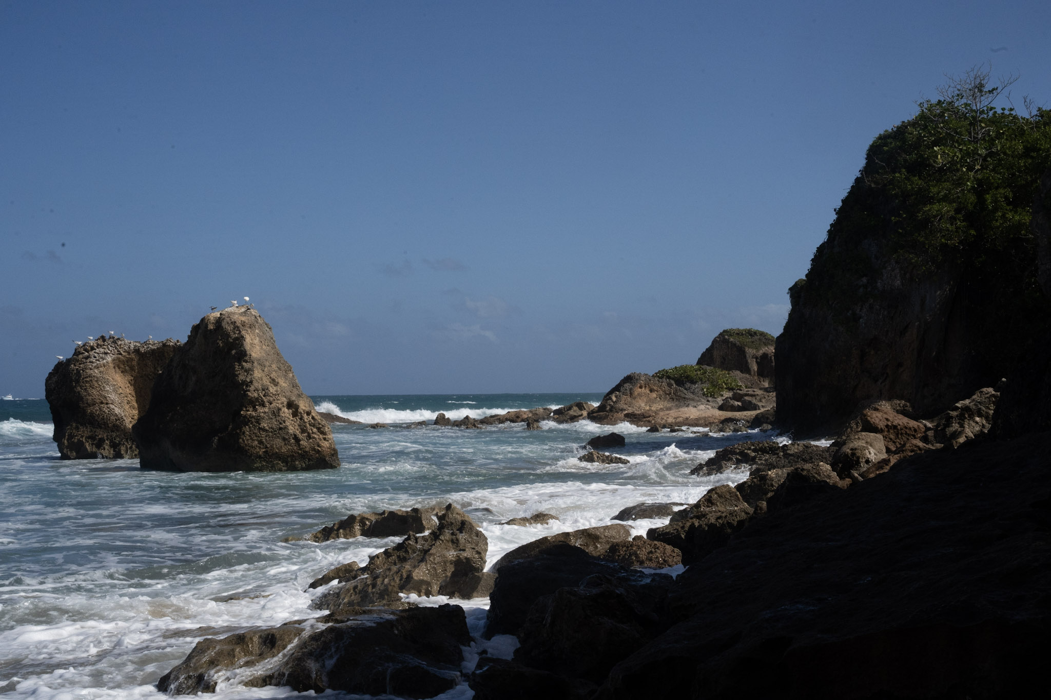 Survivor Beach - foto 9