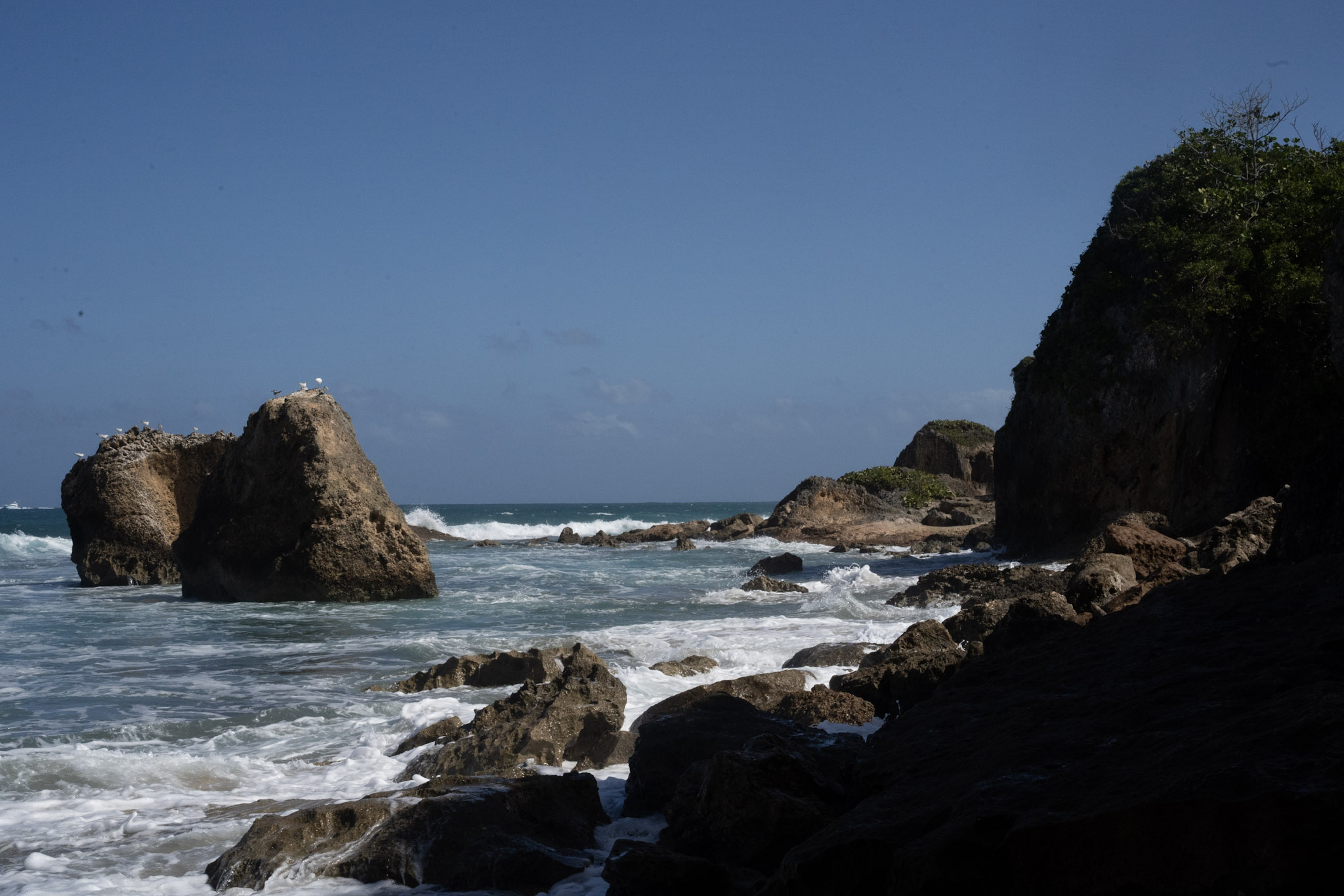 Survivor Beach - foto 10