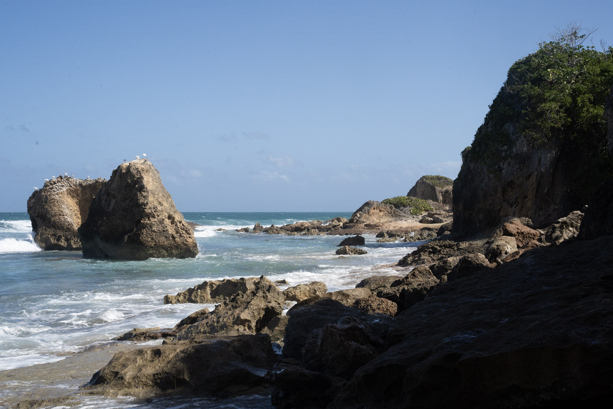 Survivor Beach - foto 11