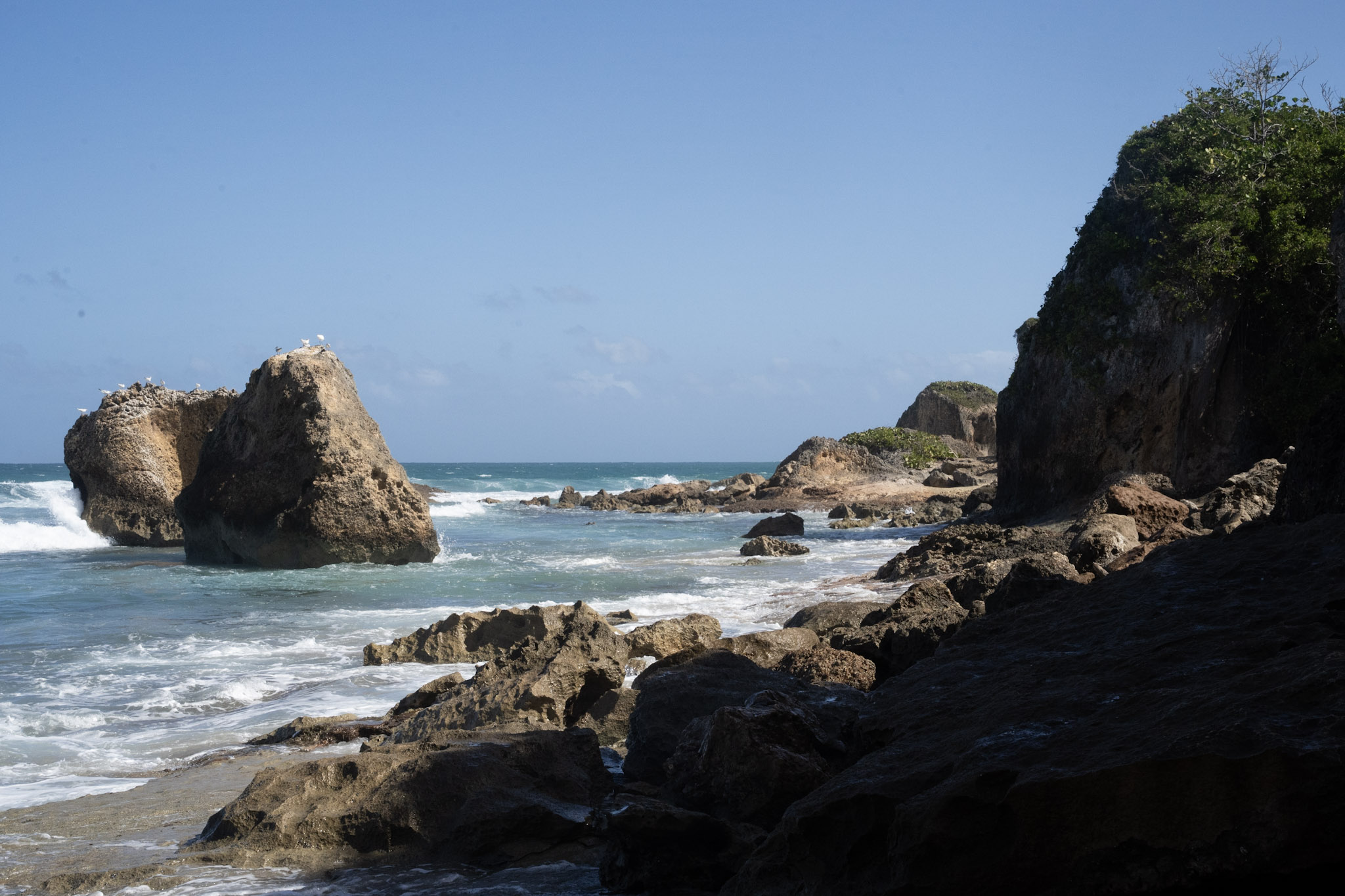 Survivor Beach - foto 12