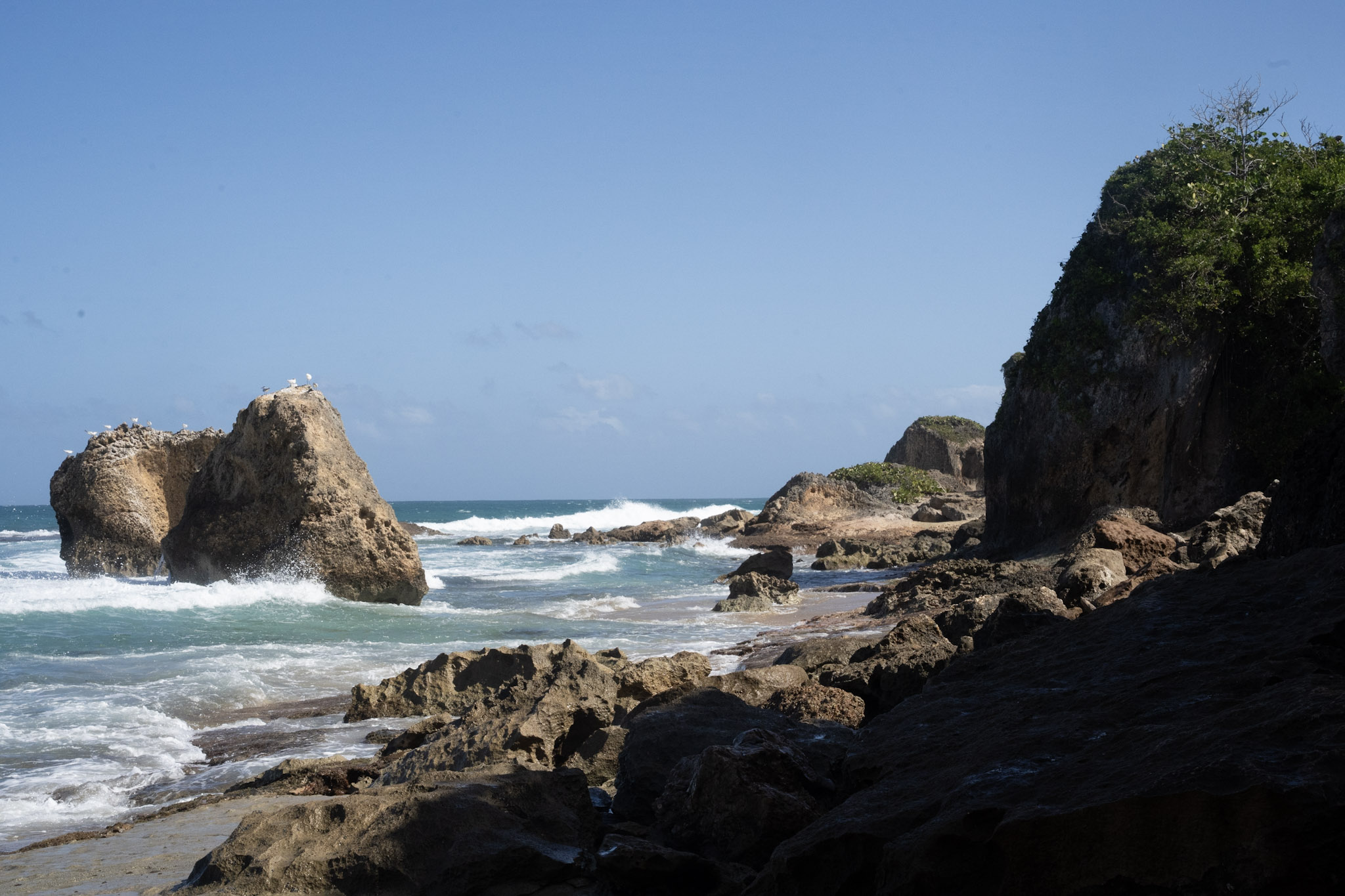 Survivor Beach - foto 13