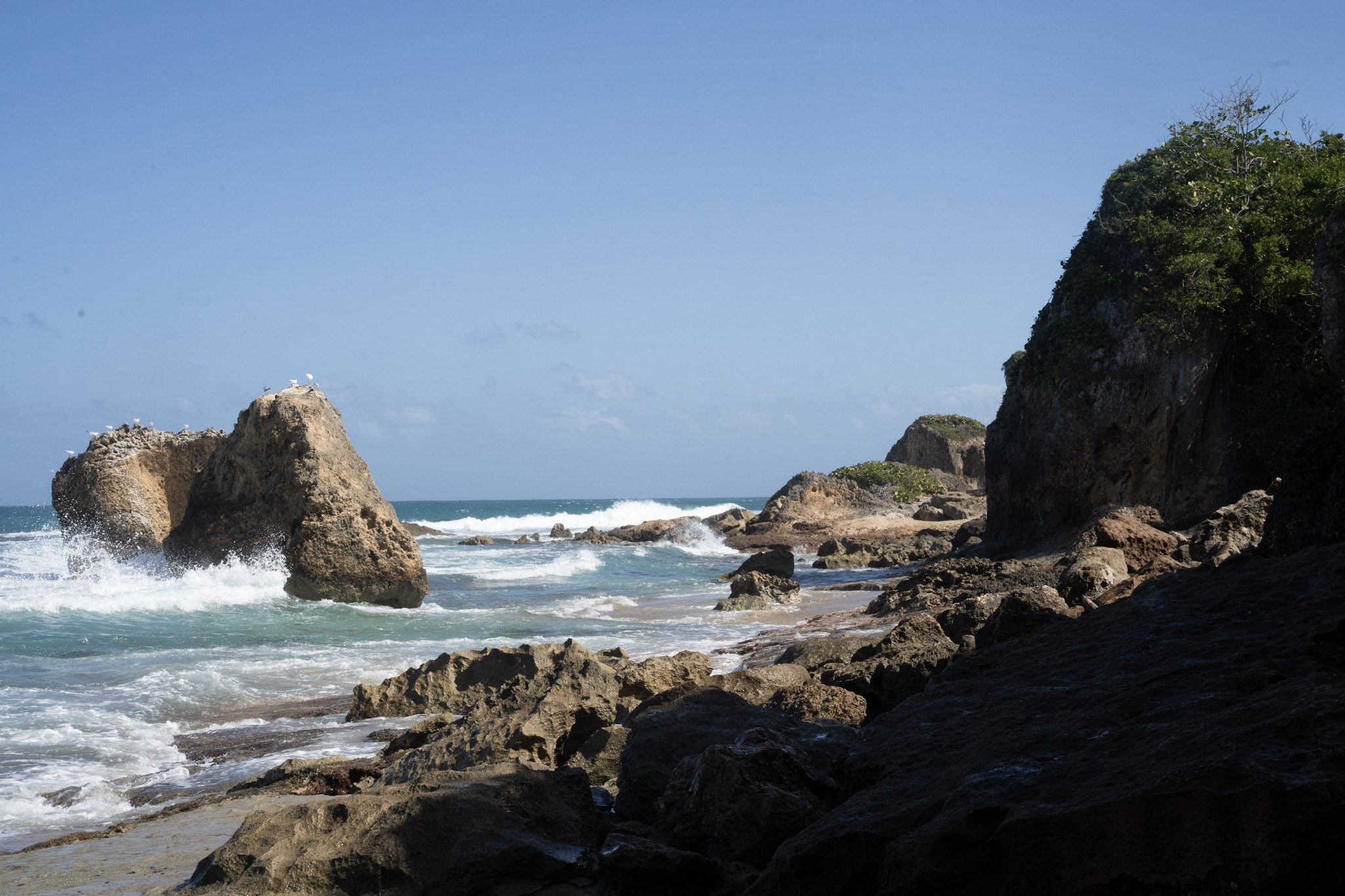 Survivor Beach - foto 15