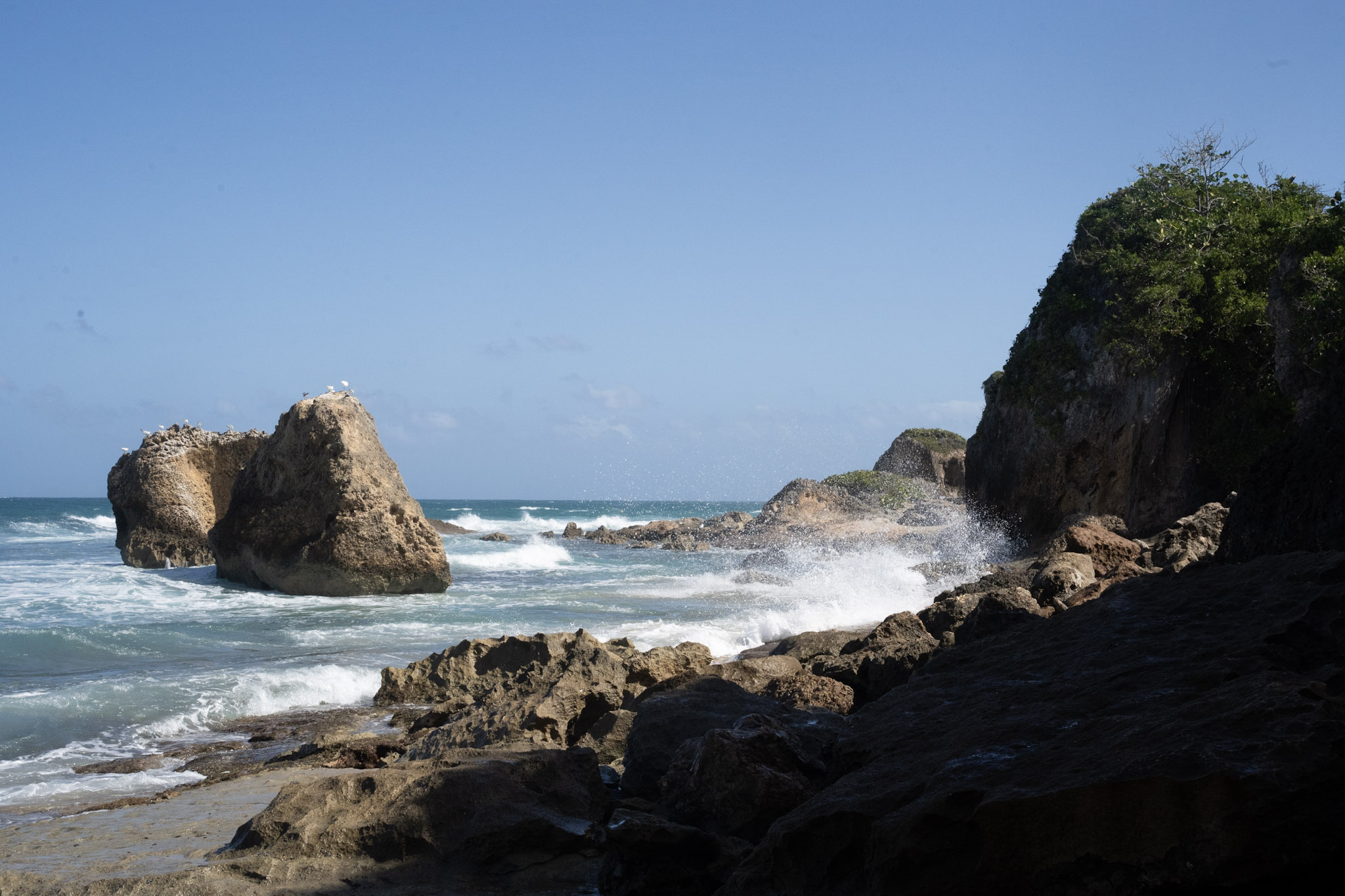 Survivor Beach - foto 18