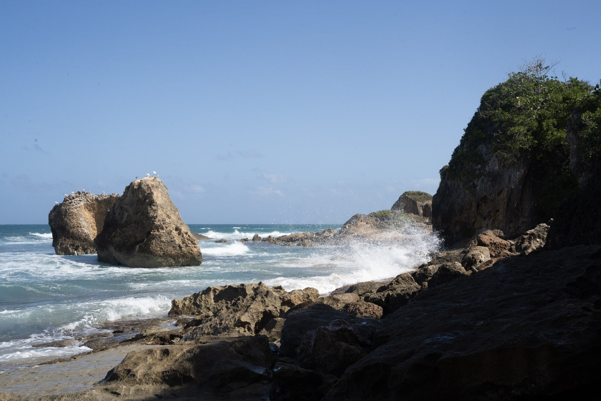 Survivor Beach - foto 19