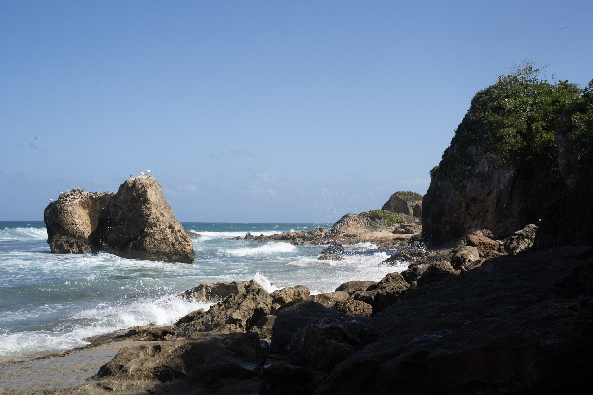 Survivor Beach - foto 20