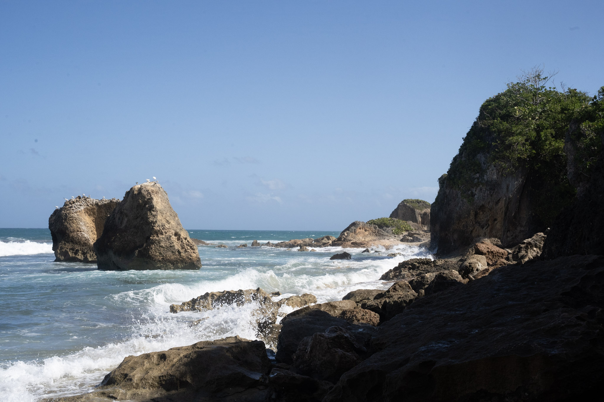 Survivor Beach - foto 21