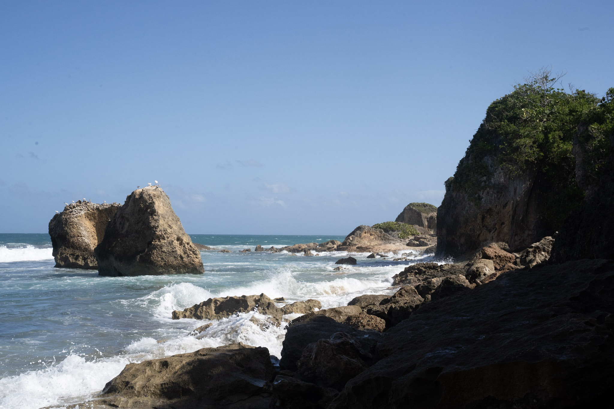 Survivor Beach - foto 22