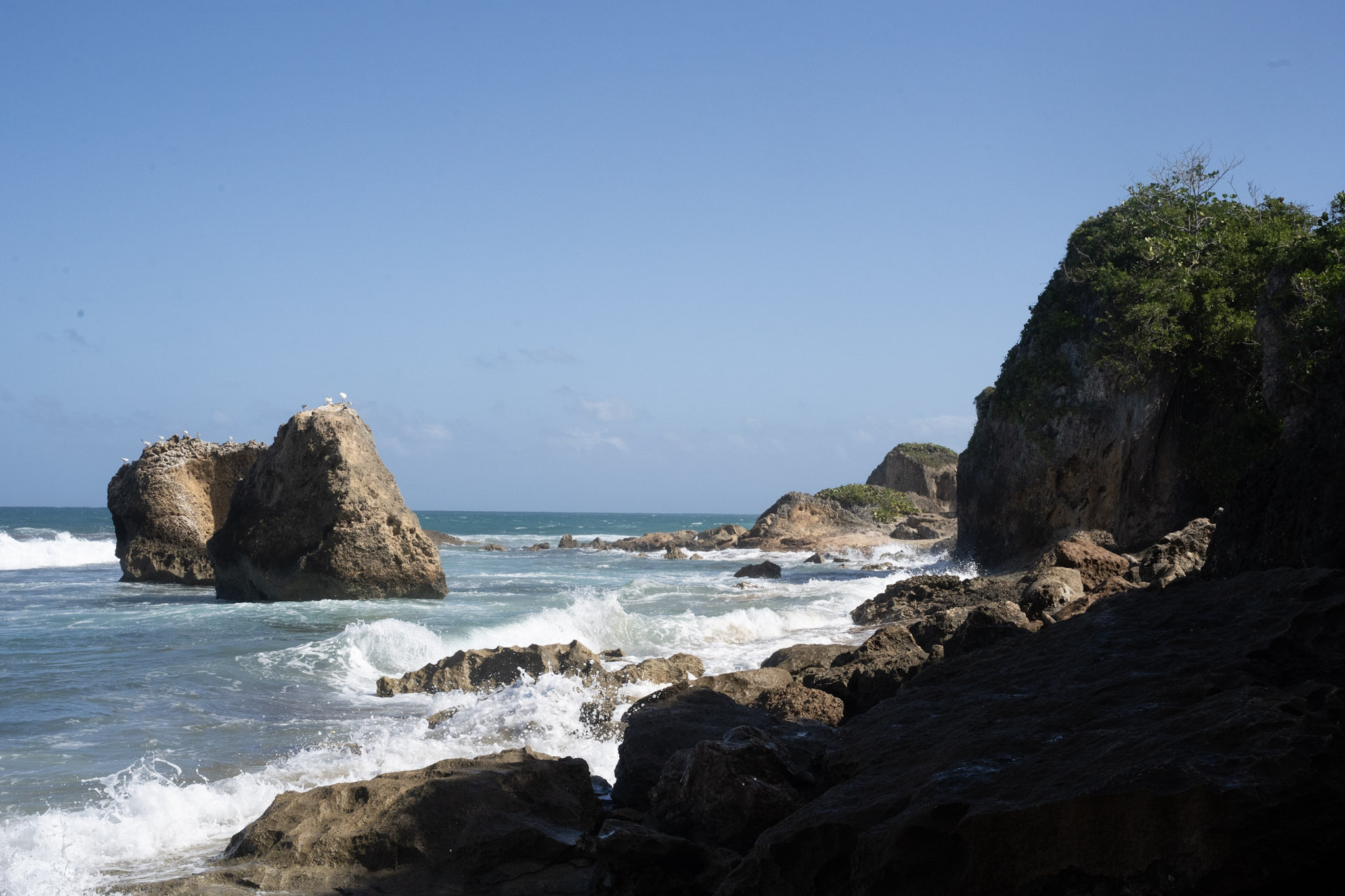 Survivor Beach - foto 23