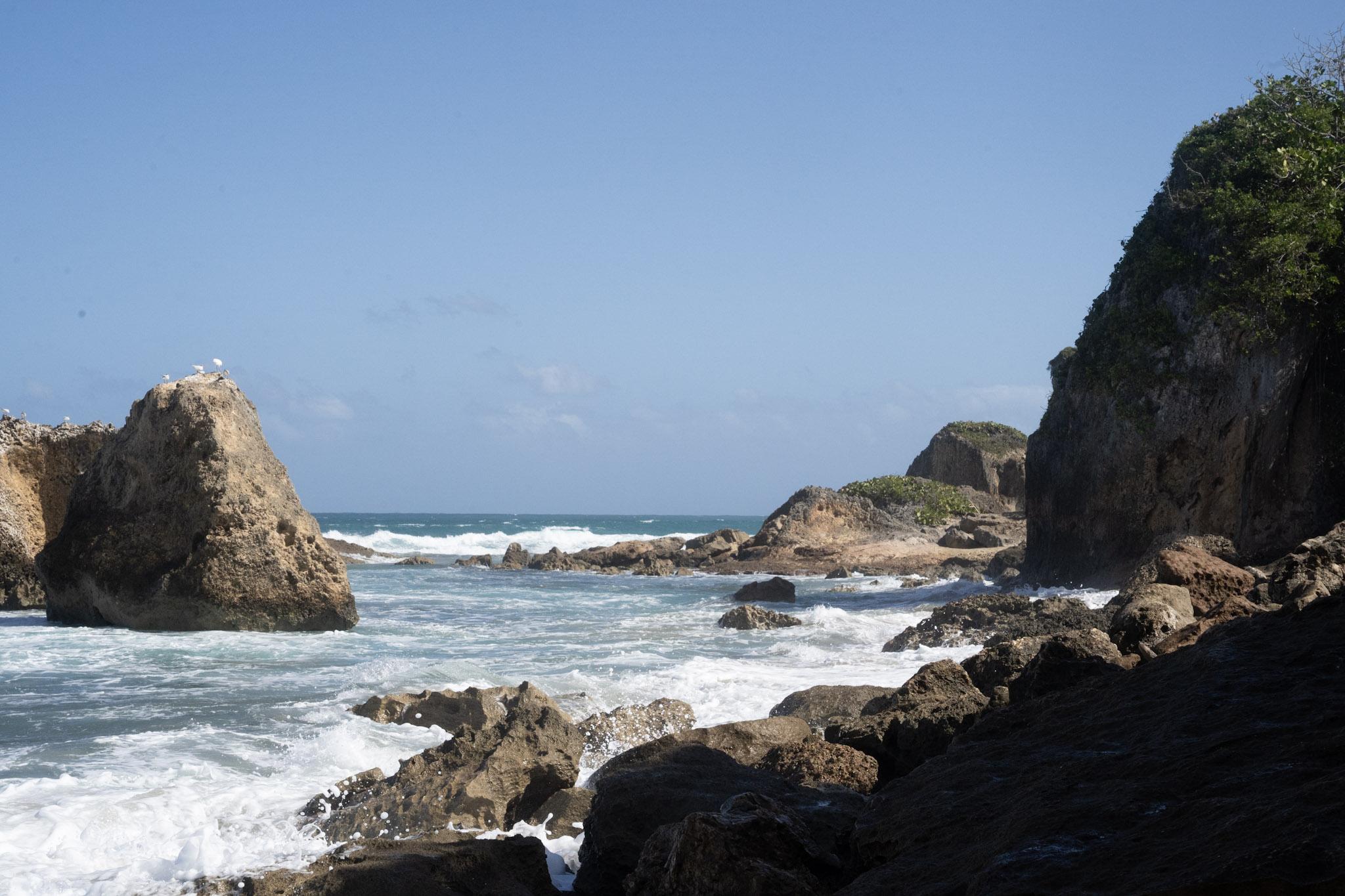 Survivor Beach - foto 29