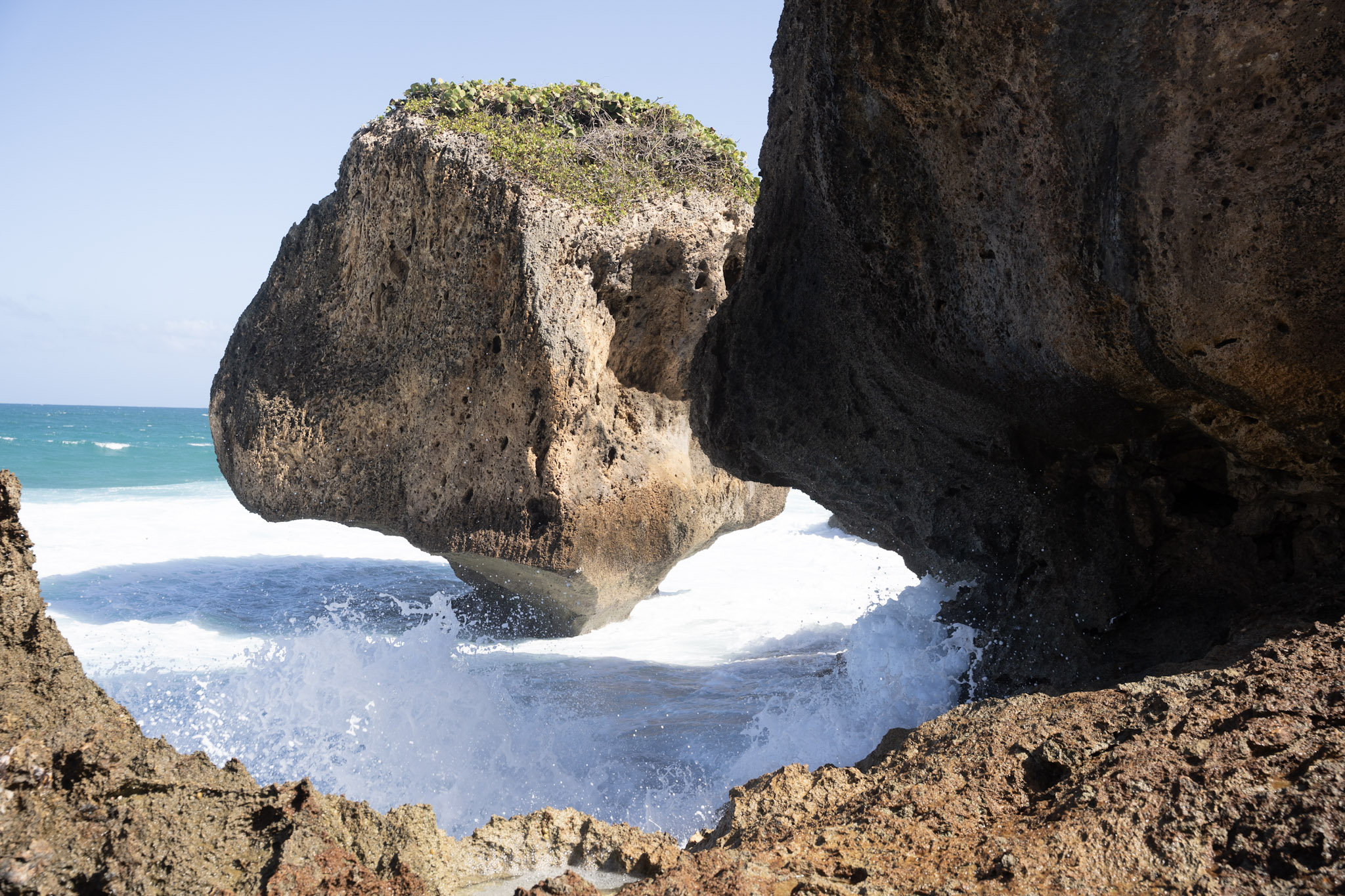 Survivor Beach - foto 55