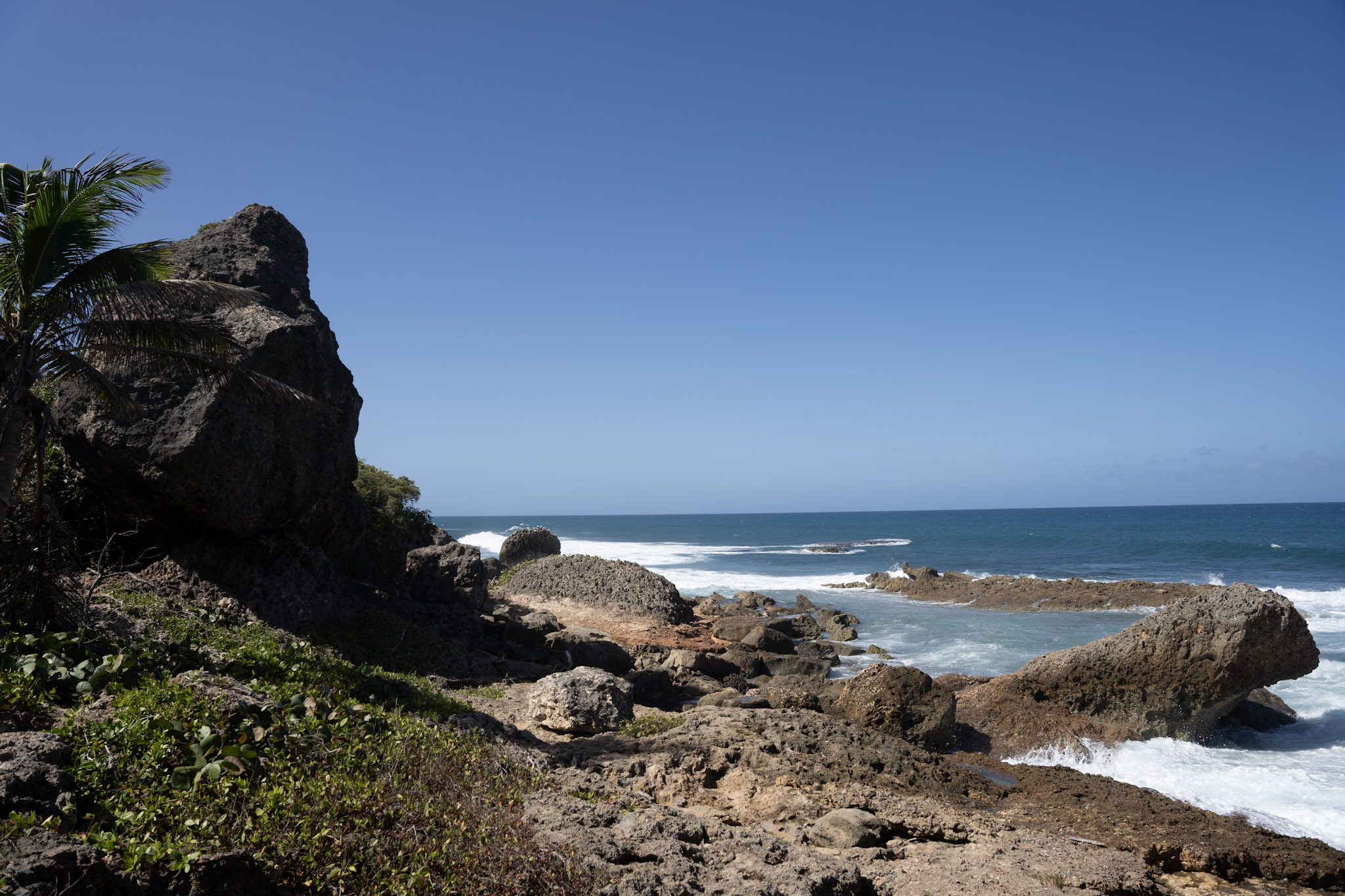 Survivor Beach - foto 66