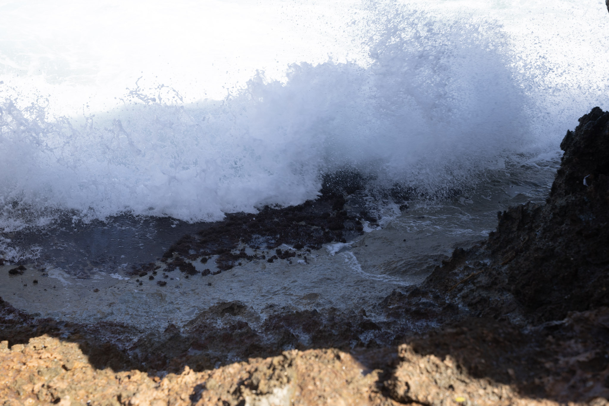 Survivor Beach - foto 102