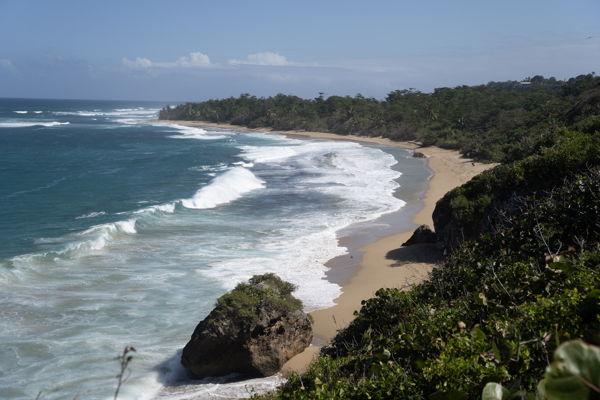 Survivor Beach - foto 115