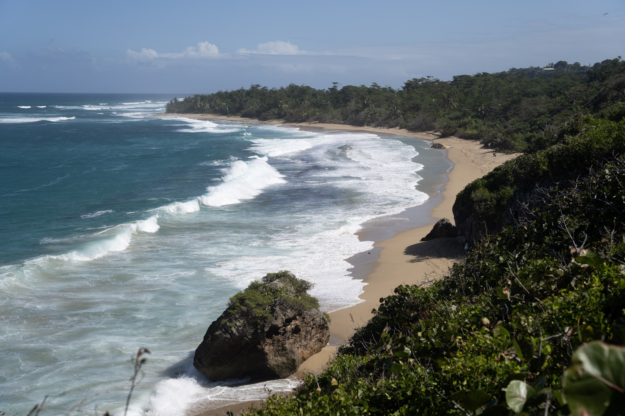 Survivor Beach - foto 116