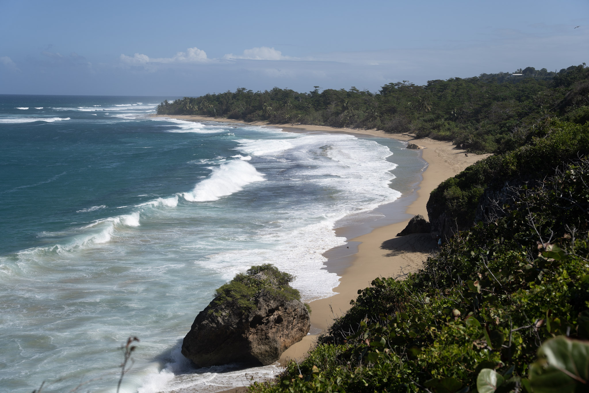 Survivor Beach - foto 117