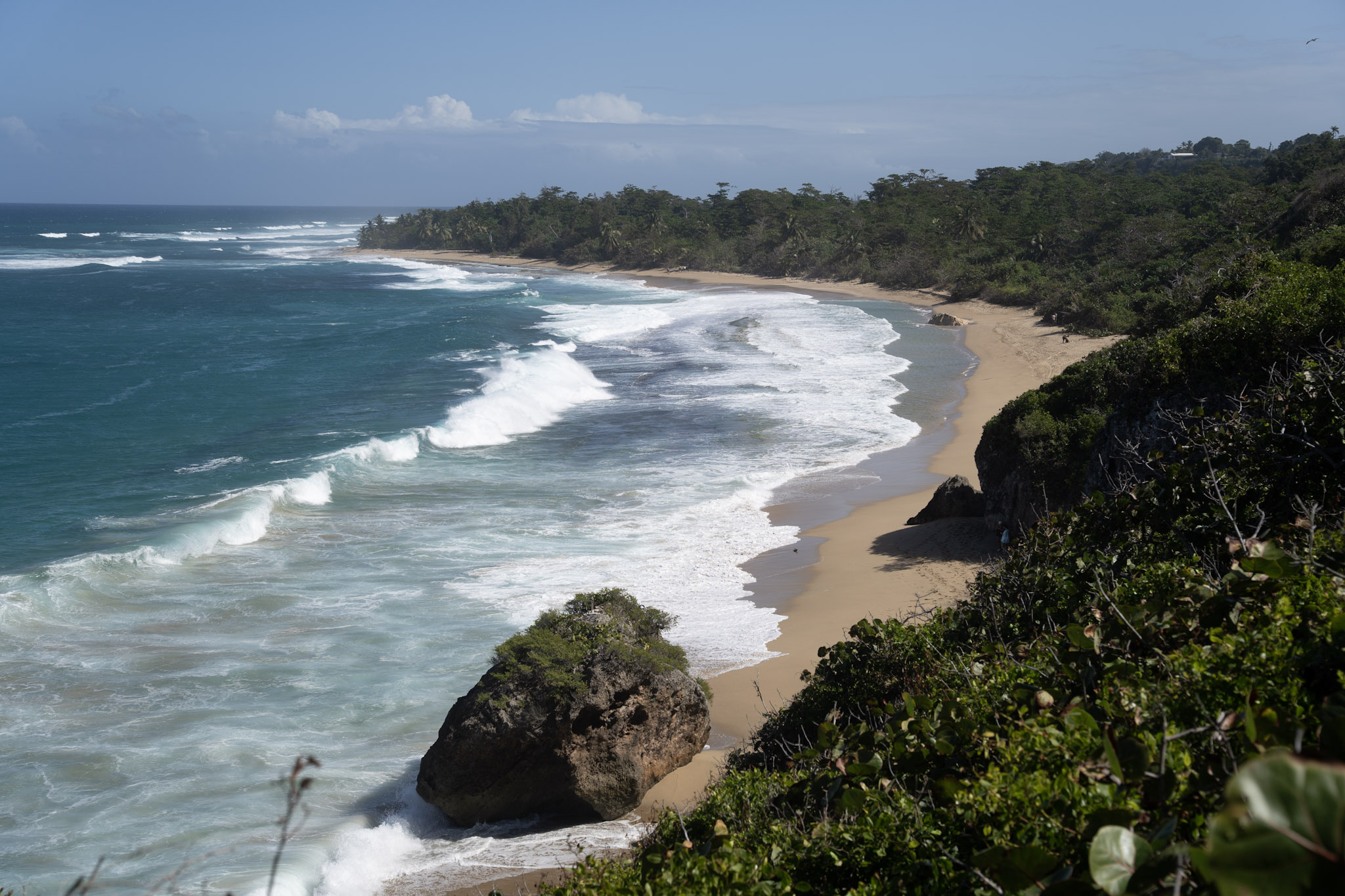 Survivor Beach - foto 118