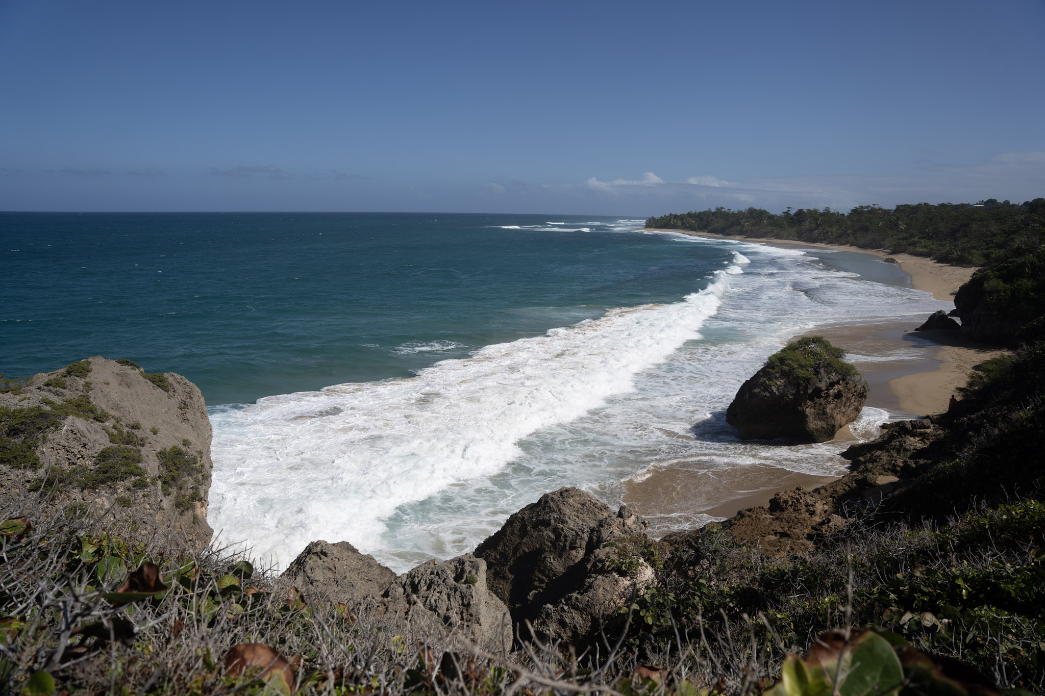 Survivor Beach - foto 129