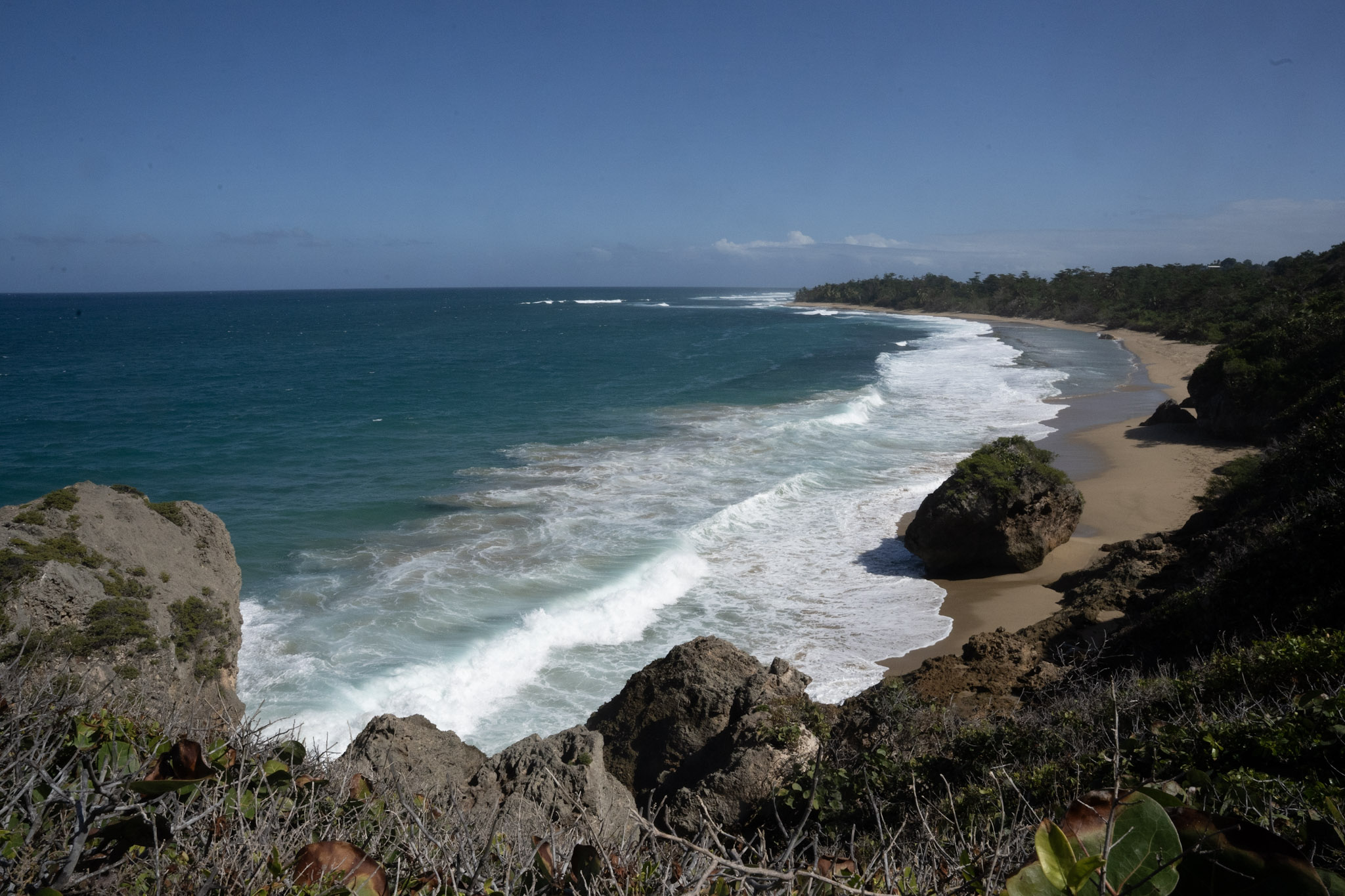 Survivor Beach - foto 133
