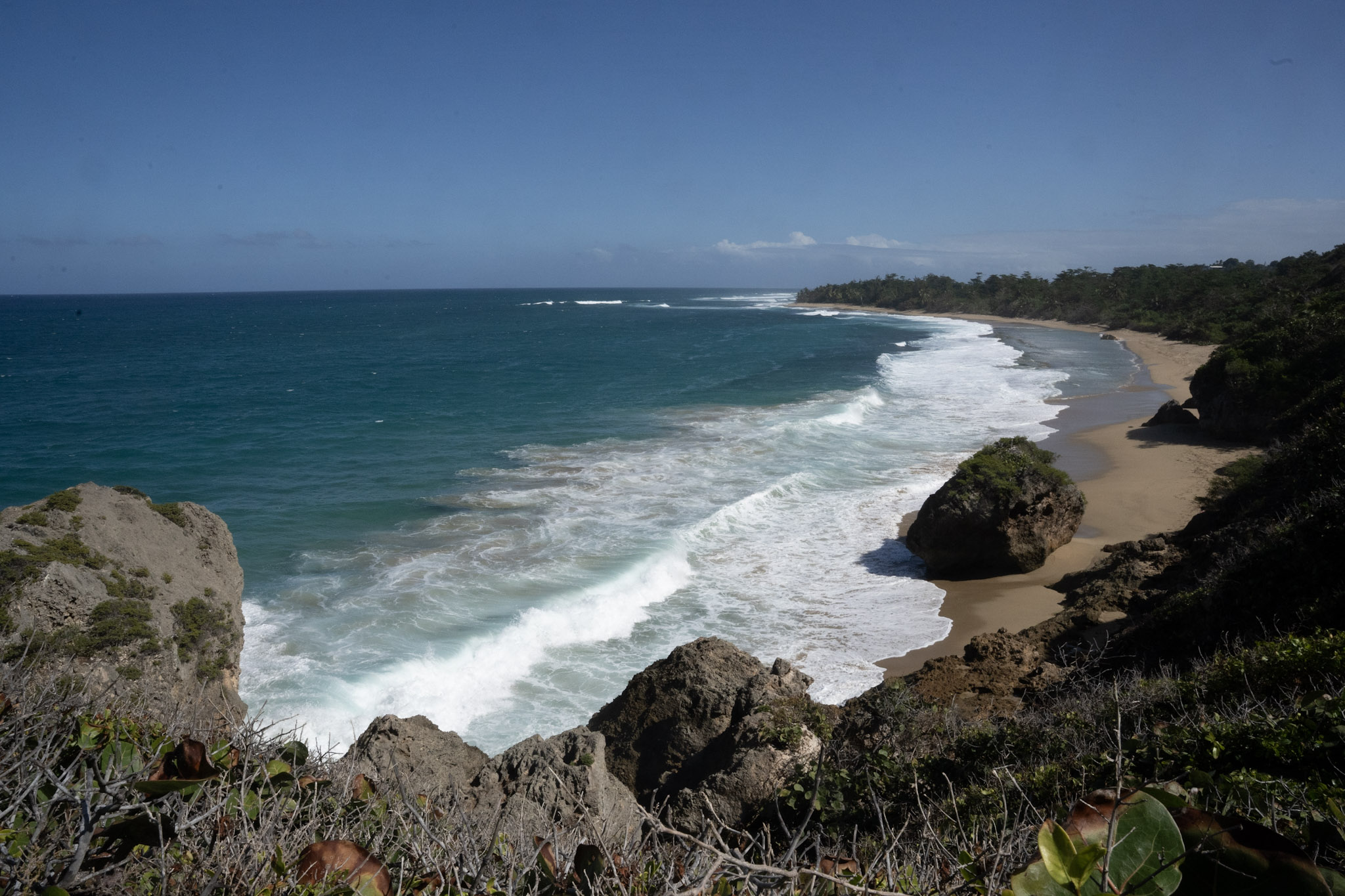 Survivor Beach - foto 134
