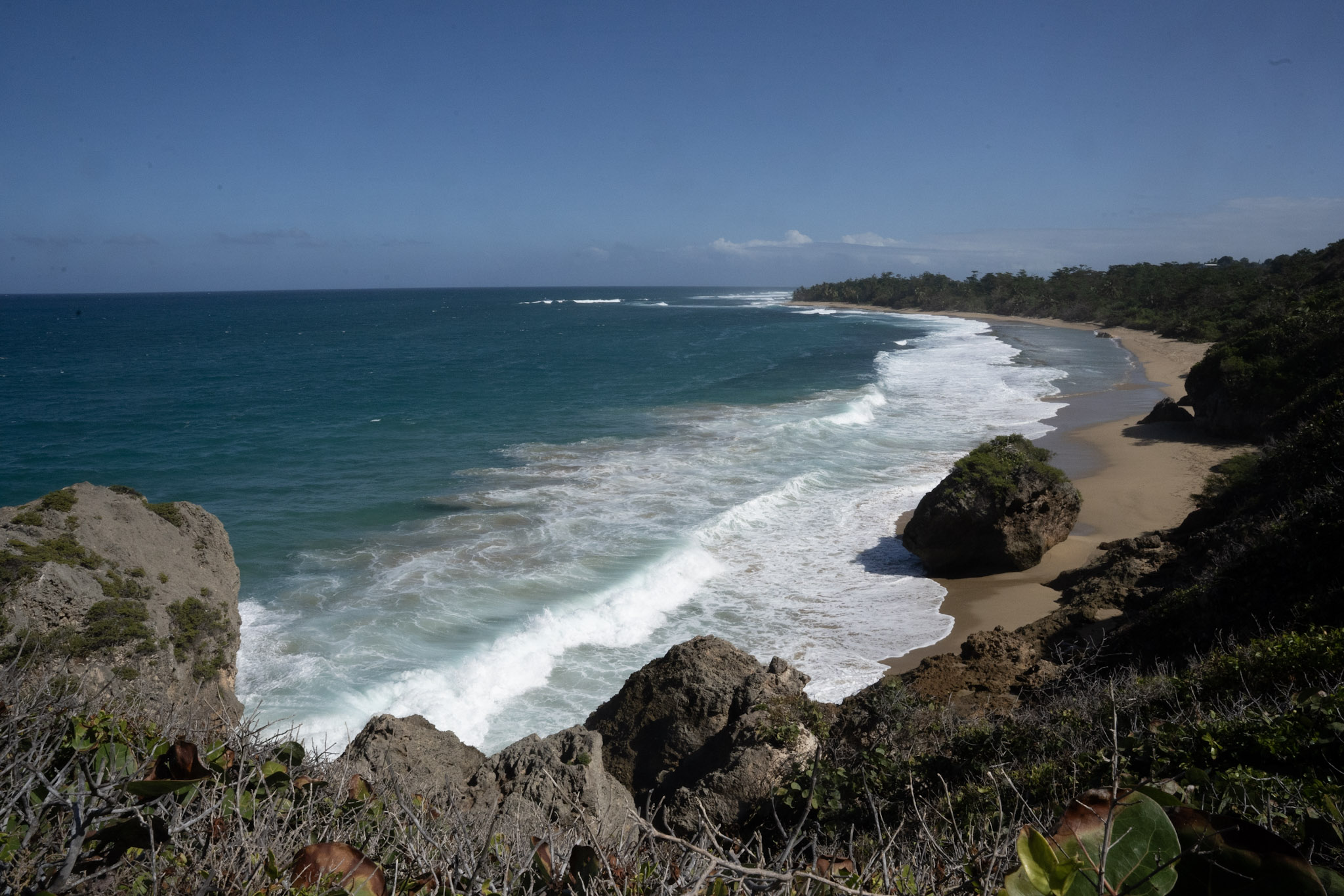 Survivor Beach - foto 135