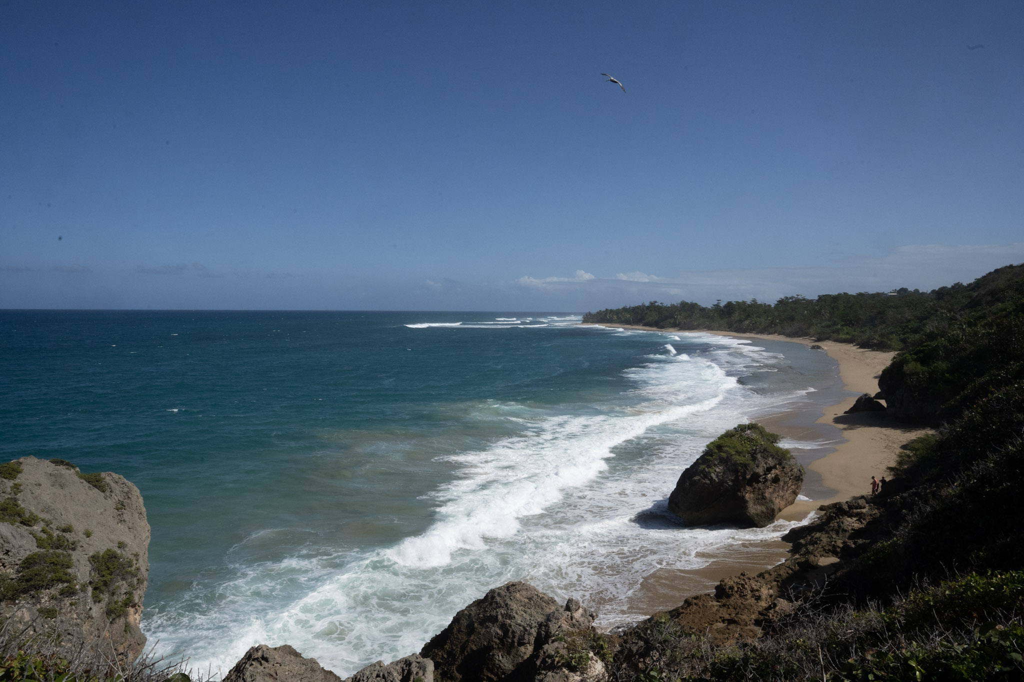 Survivor Beach - foto 140