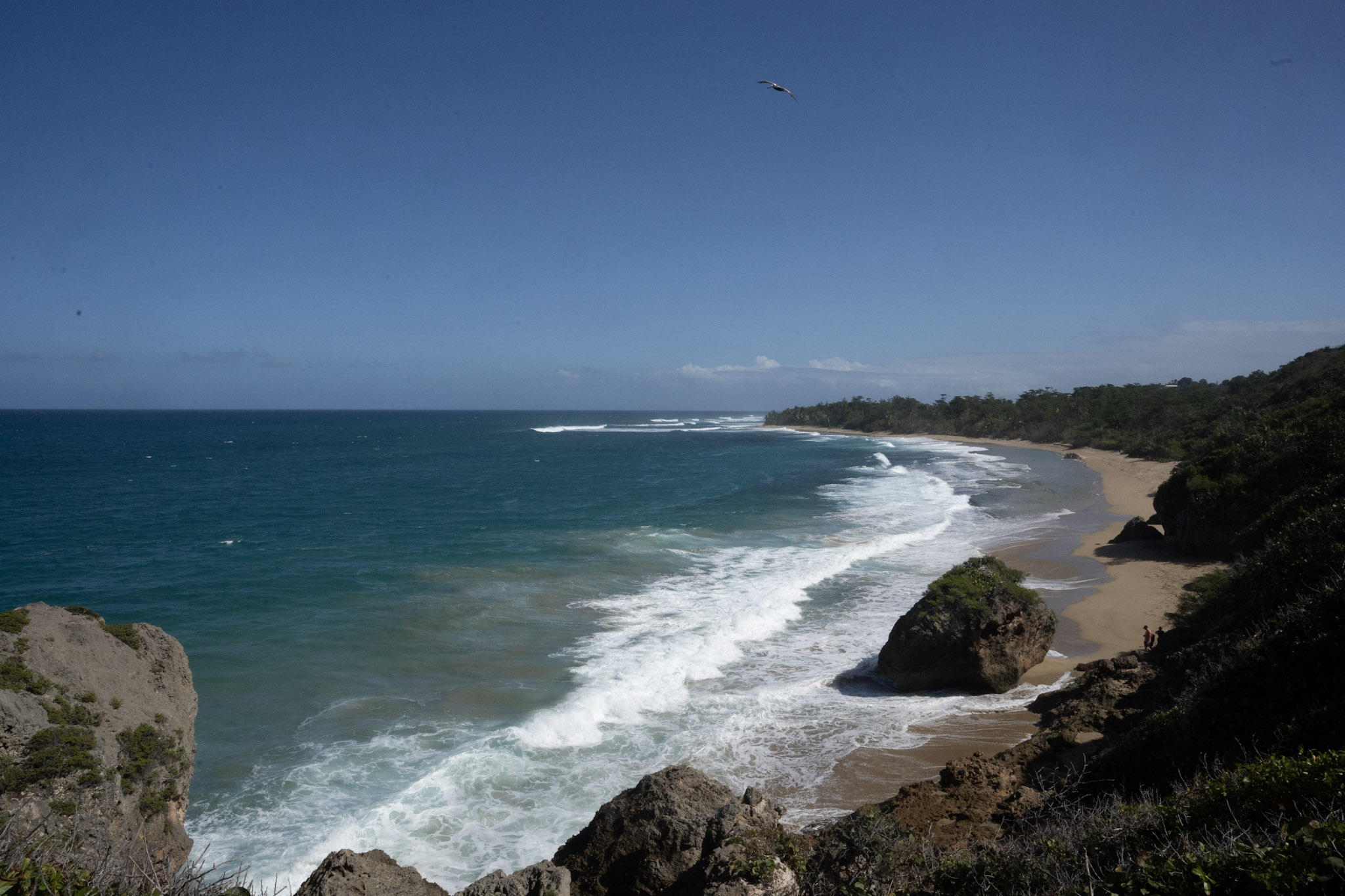 Survivor Beach - foto 141