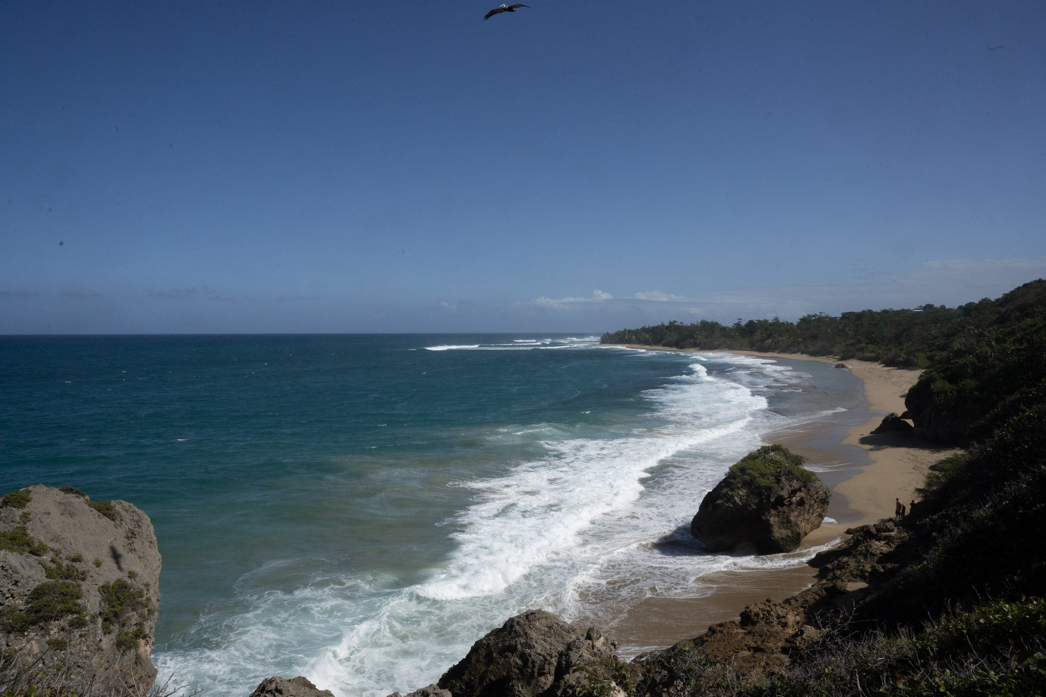 Survivor Beach - foto 142