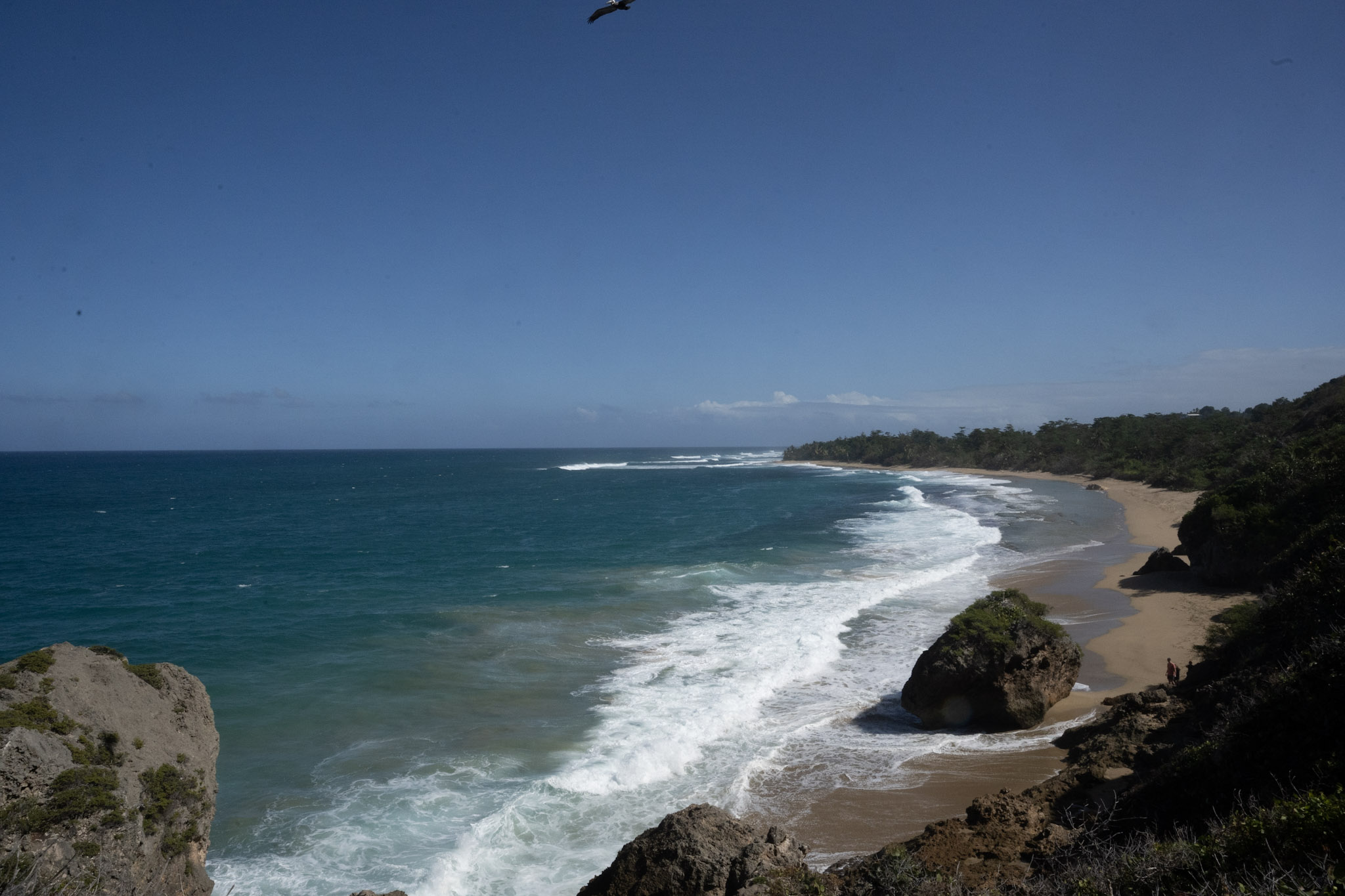 Survivor Beach - foto 143