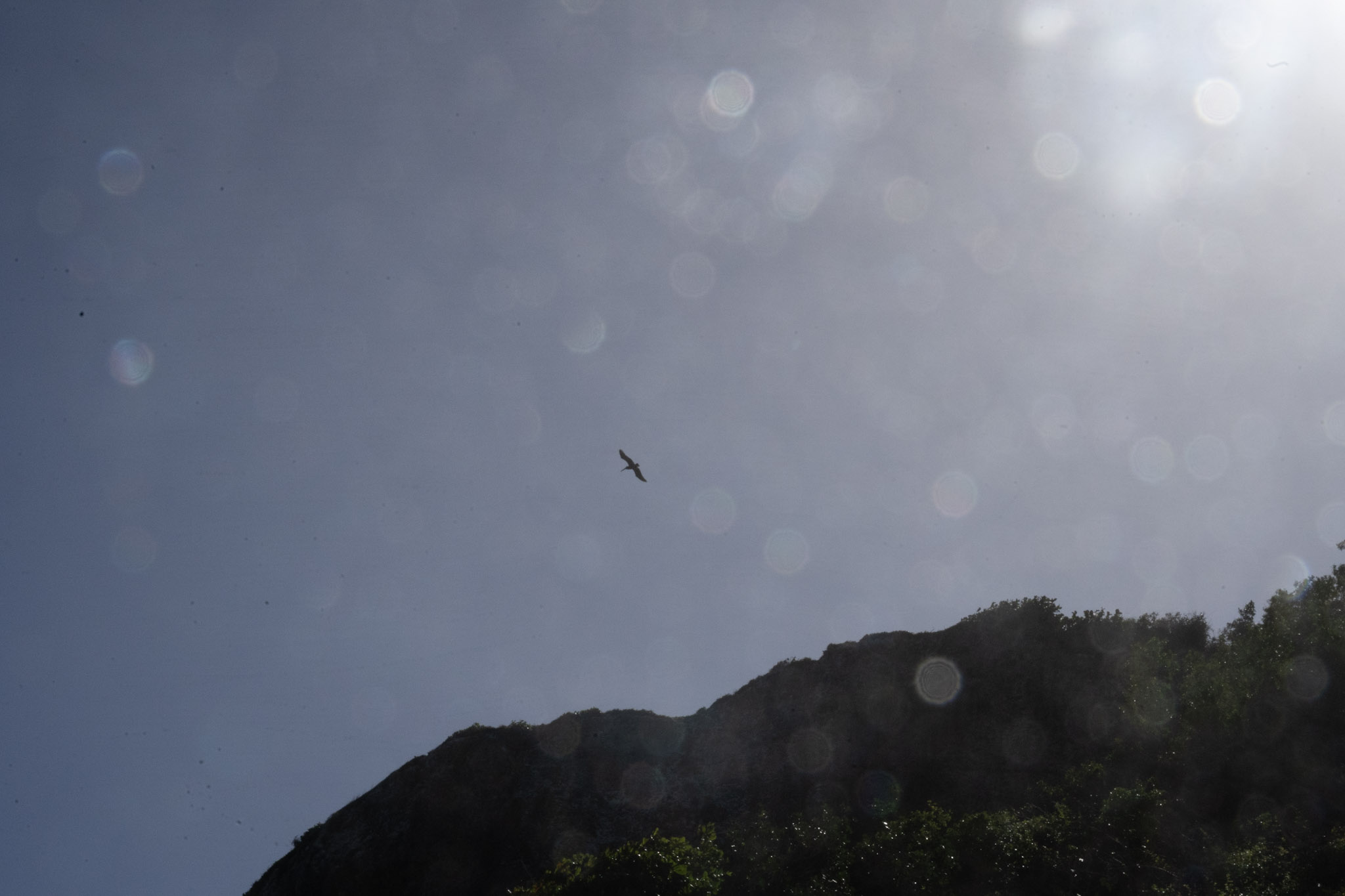 Survivor Beach - foto 158