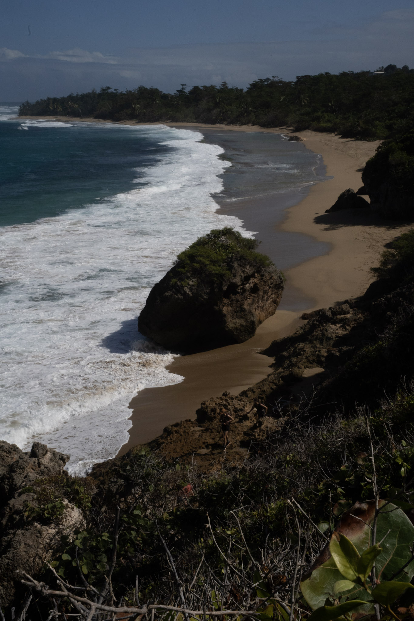 Survivor Beach - foto 159