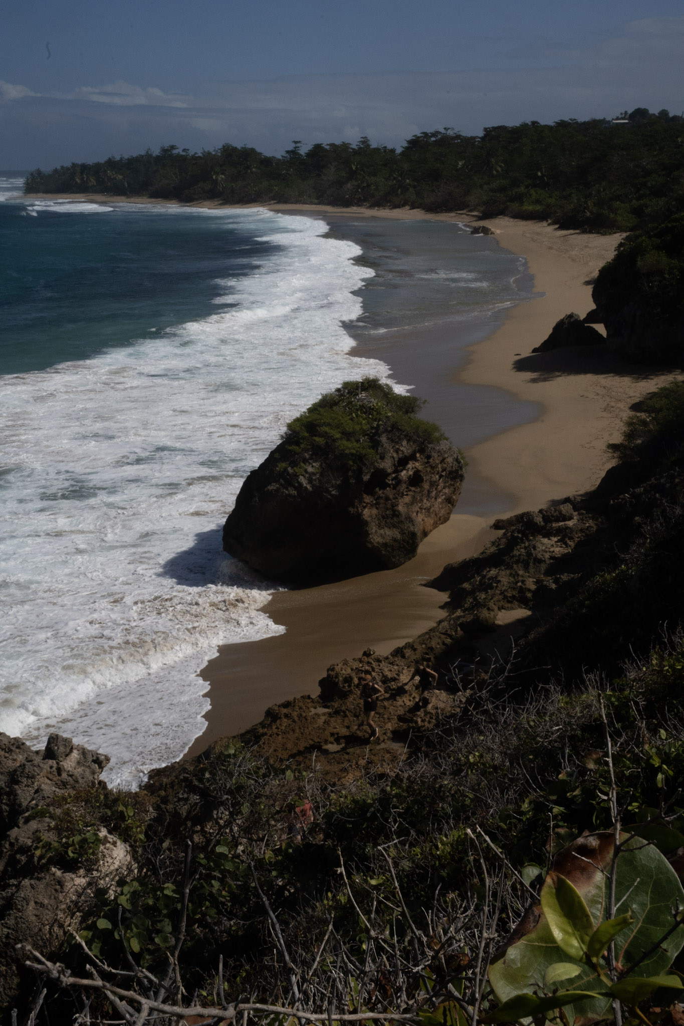 Survivor Beach - foto 160