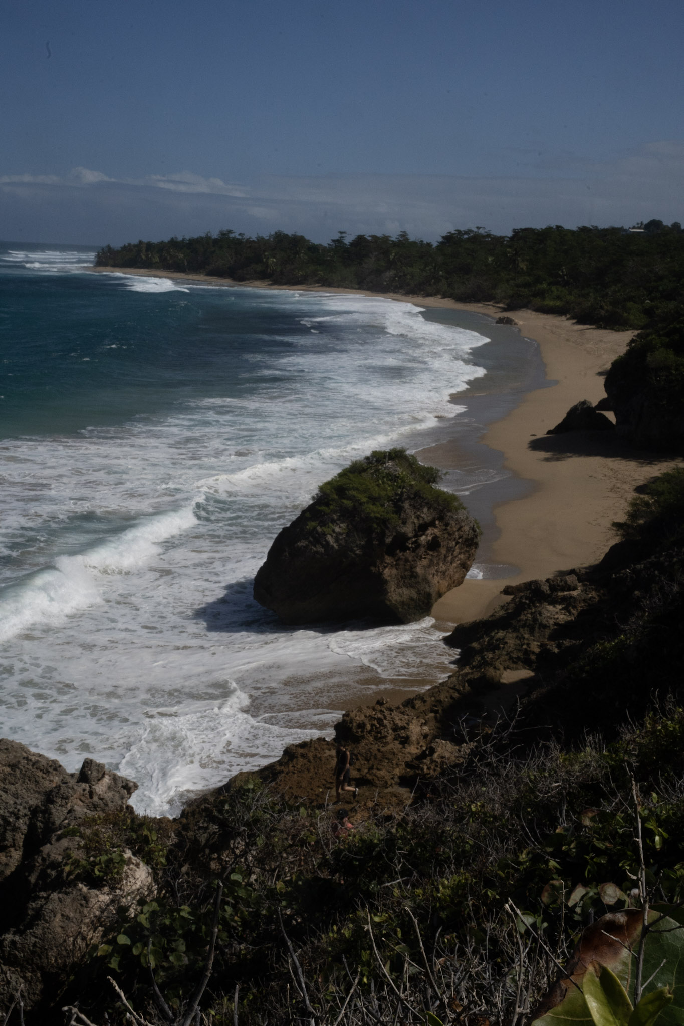 Survivor Beach - foto 161