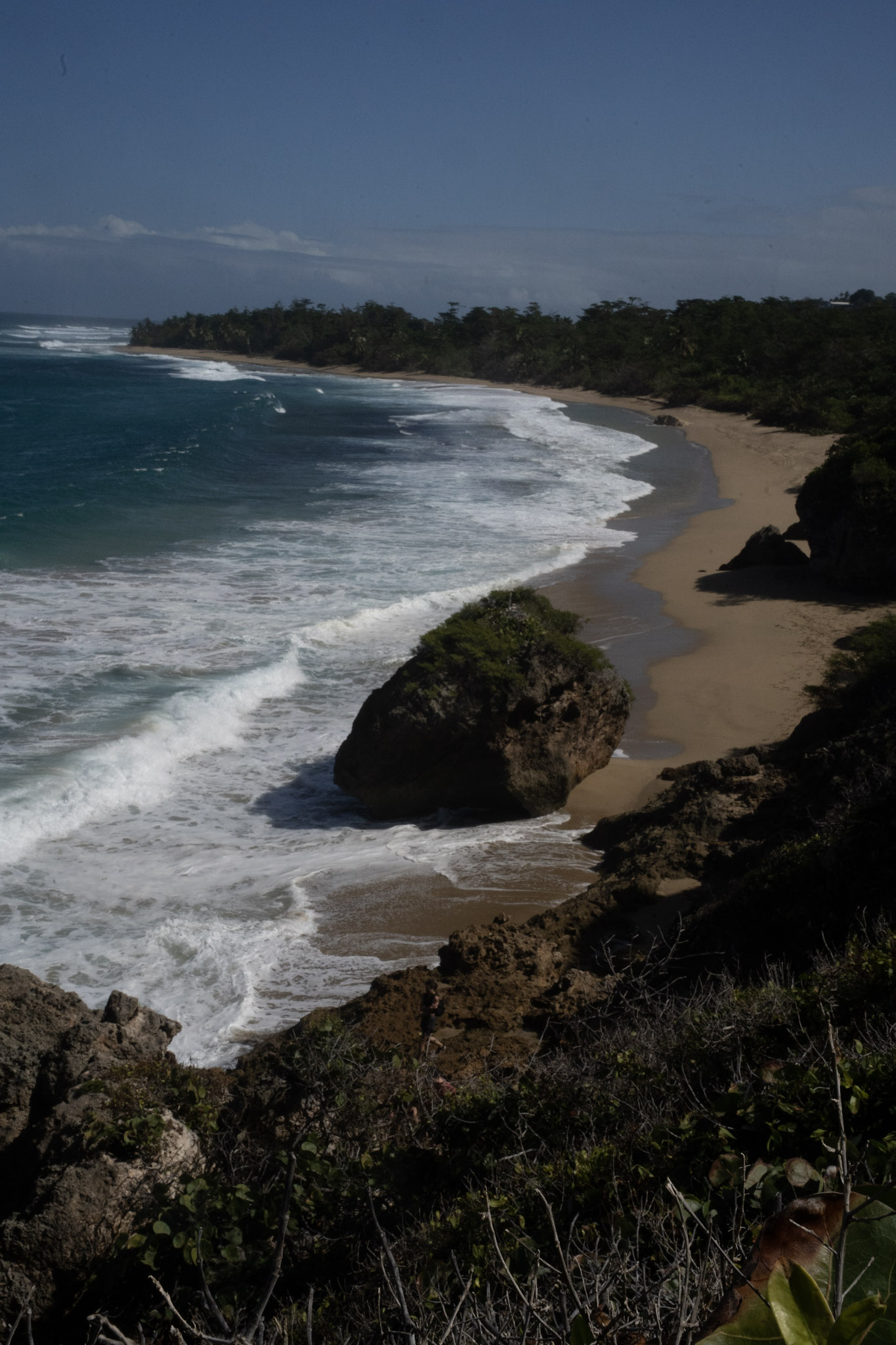 Survivor Beach - foto 162