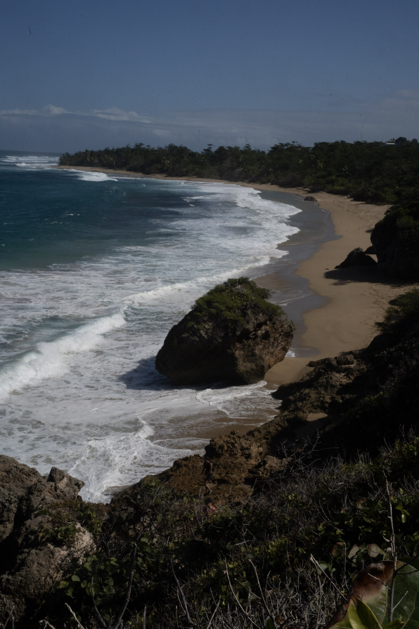 Survivor Beach - foto 164