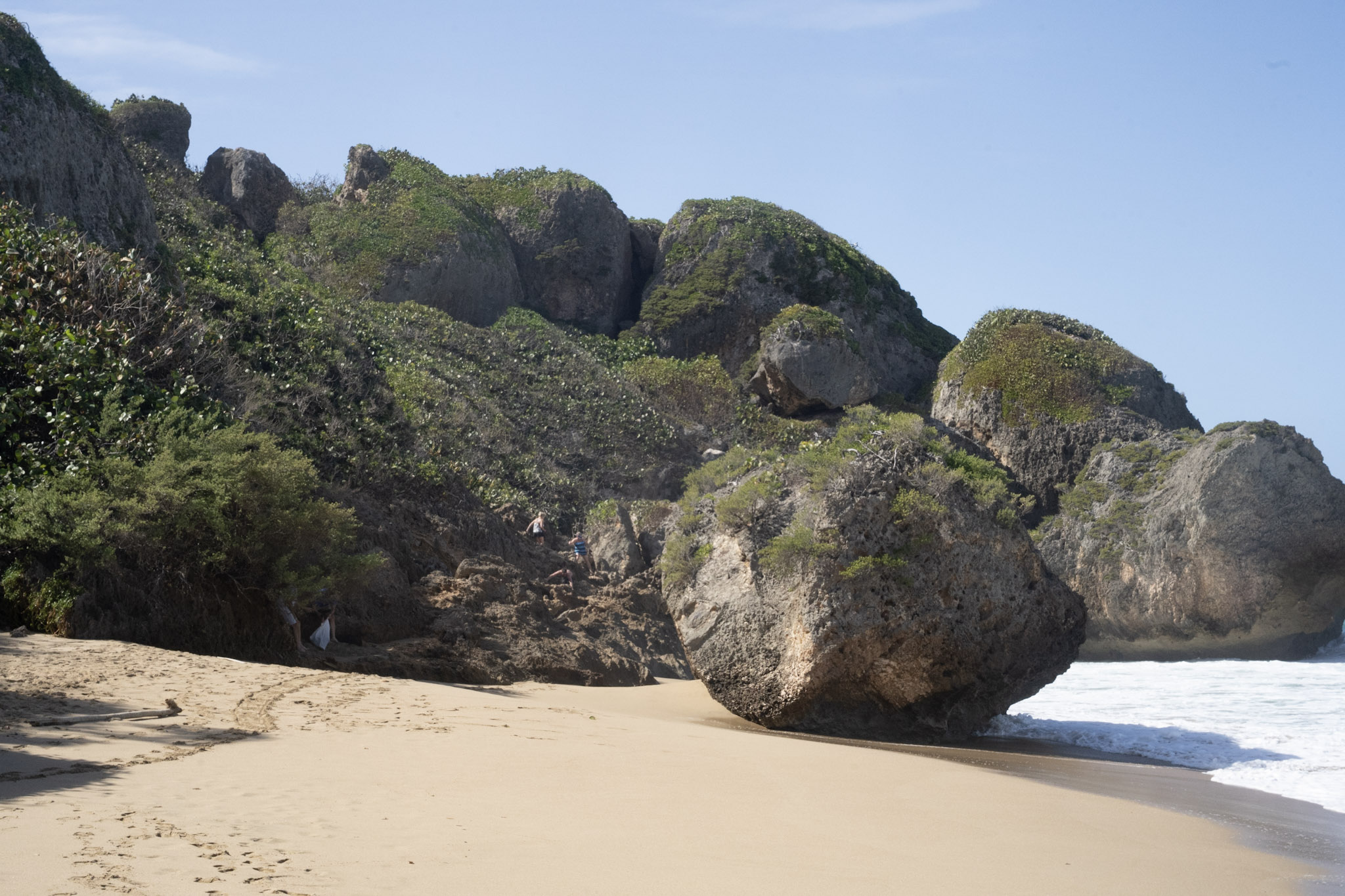 Survivor Beach - foto 182