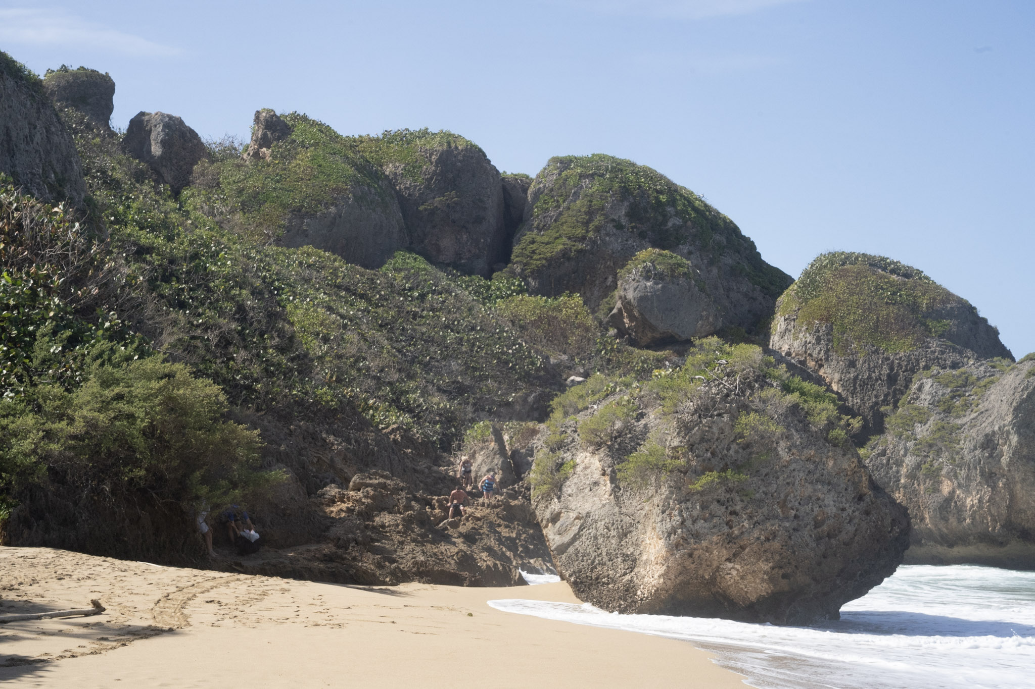Survivor Beach - foto 186
